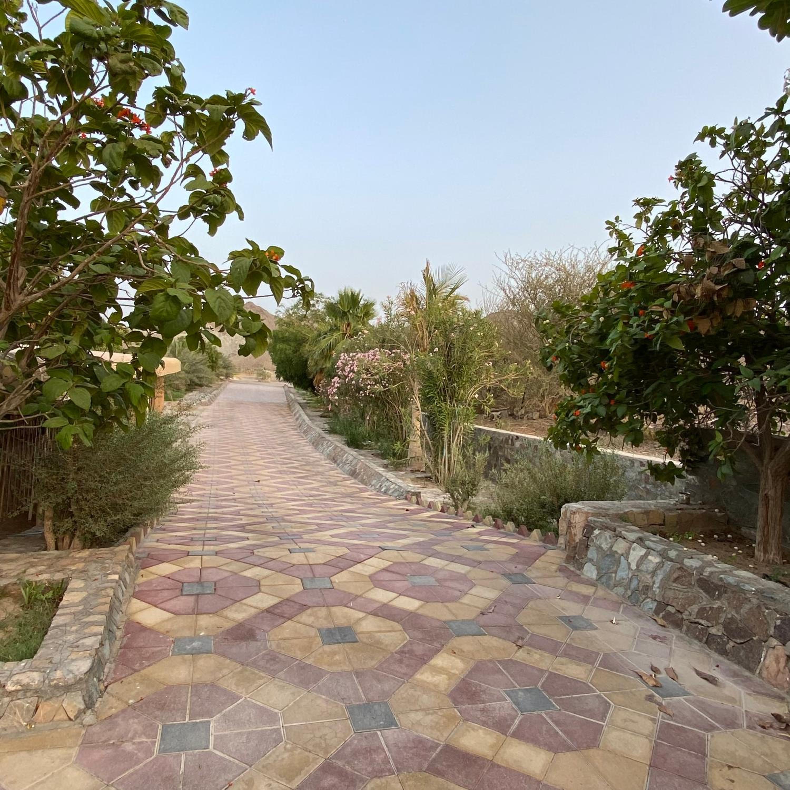 UAE farm