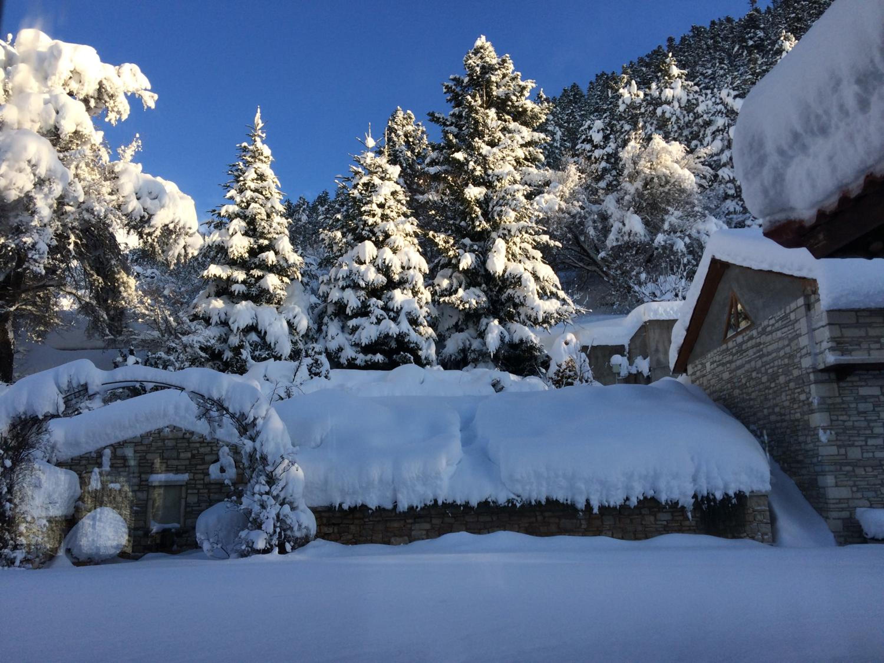 Willows Lodge