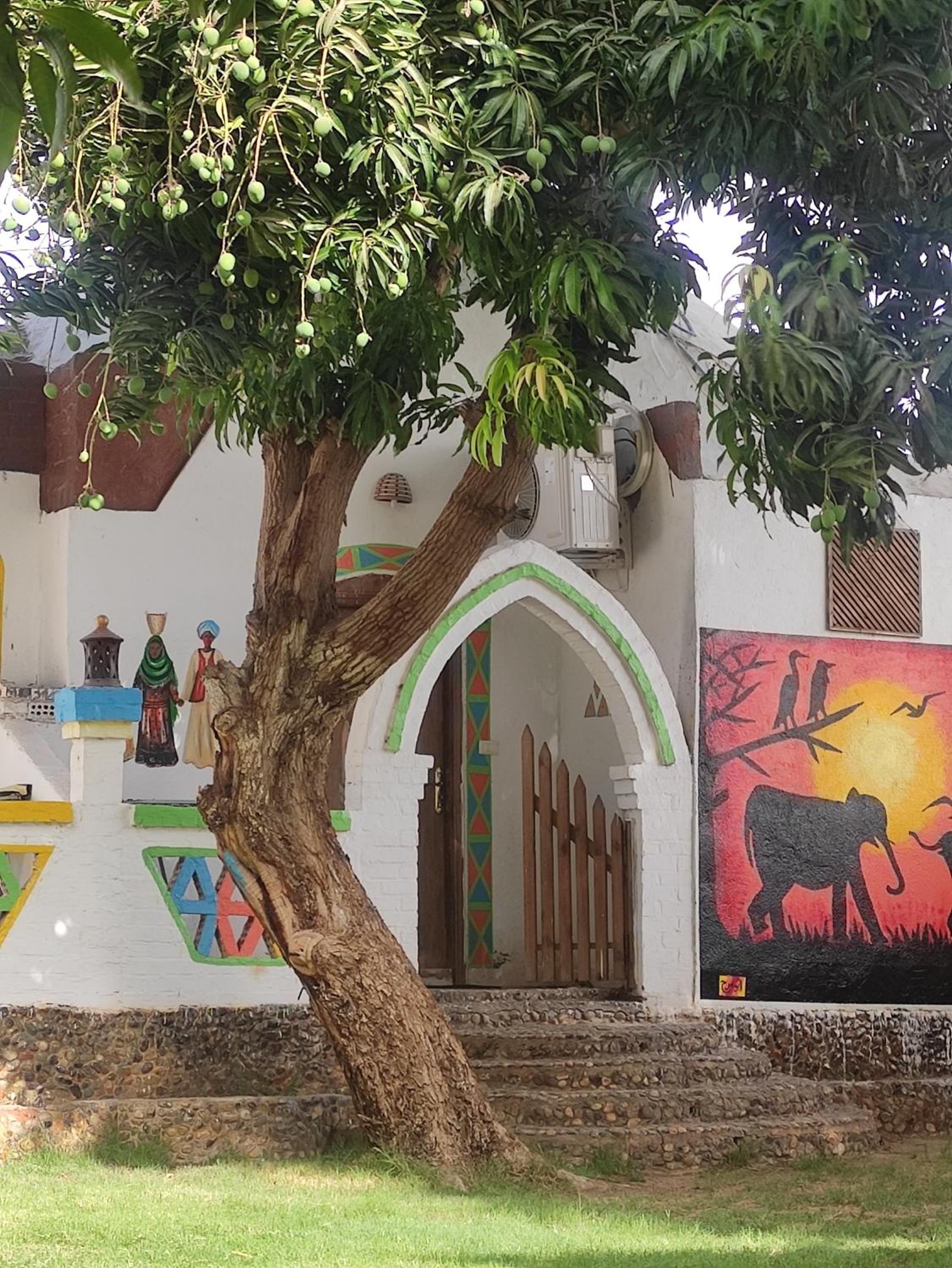 Maghrabi's Guest house view 5