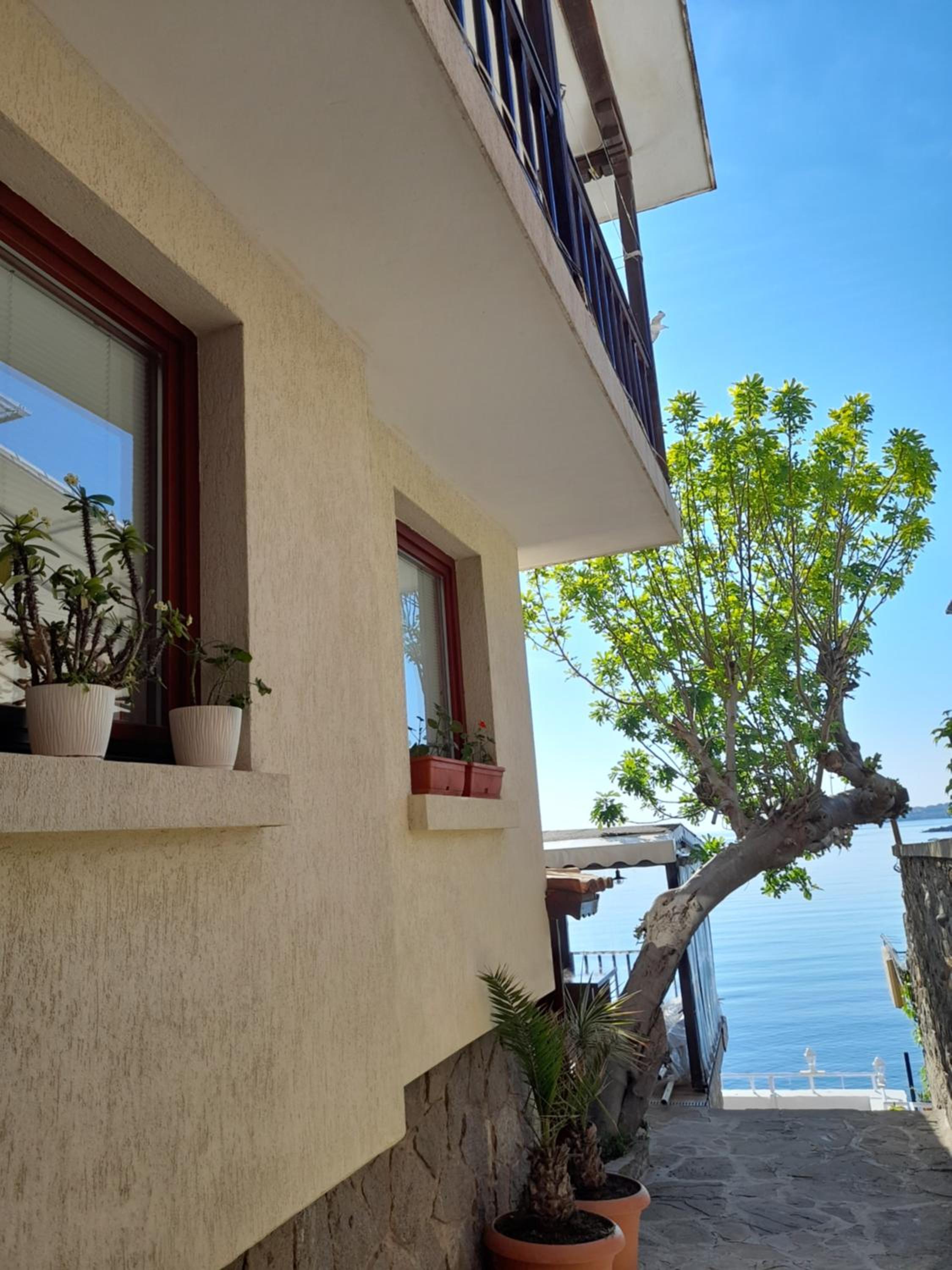 Kaya Guest House