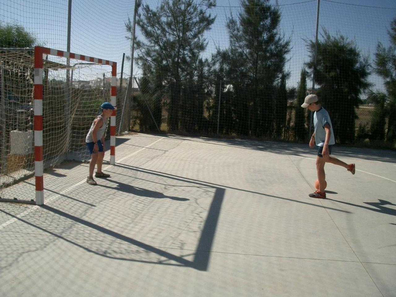 Photo 12