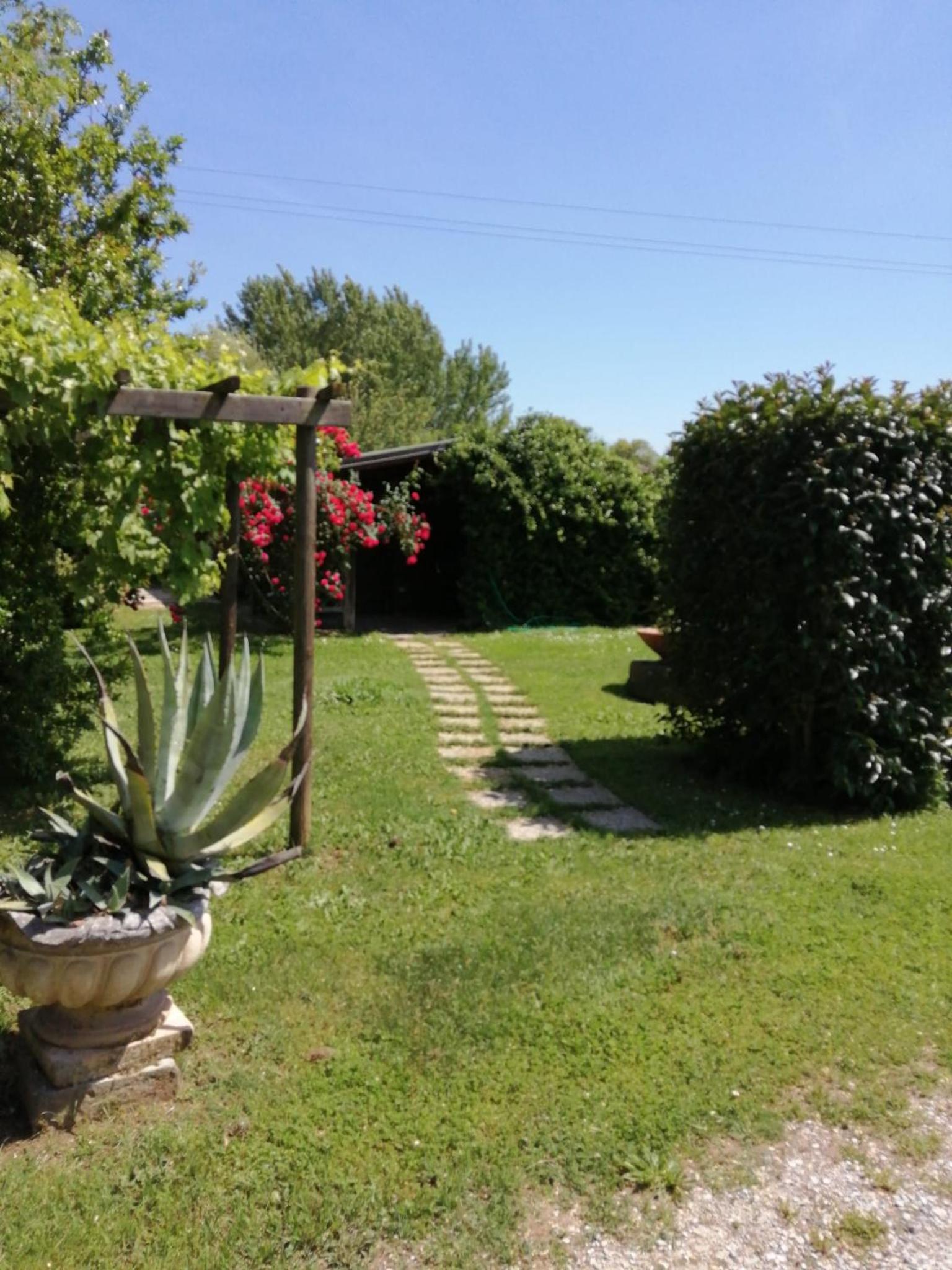 Photo 23