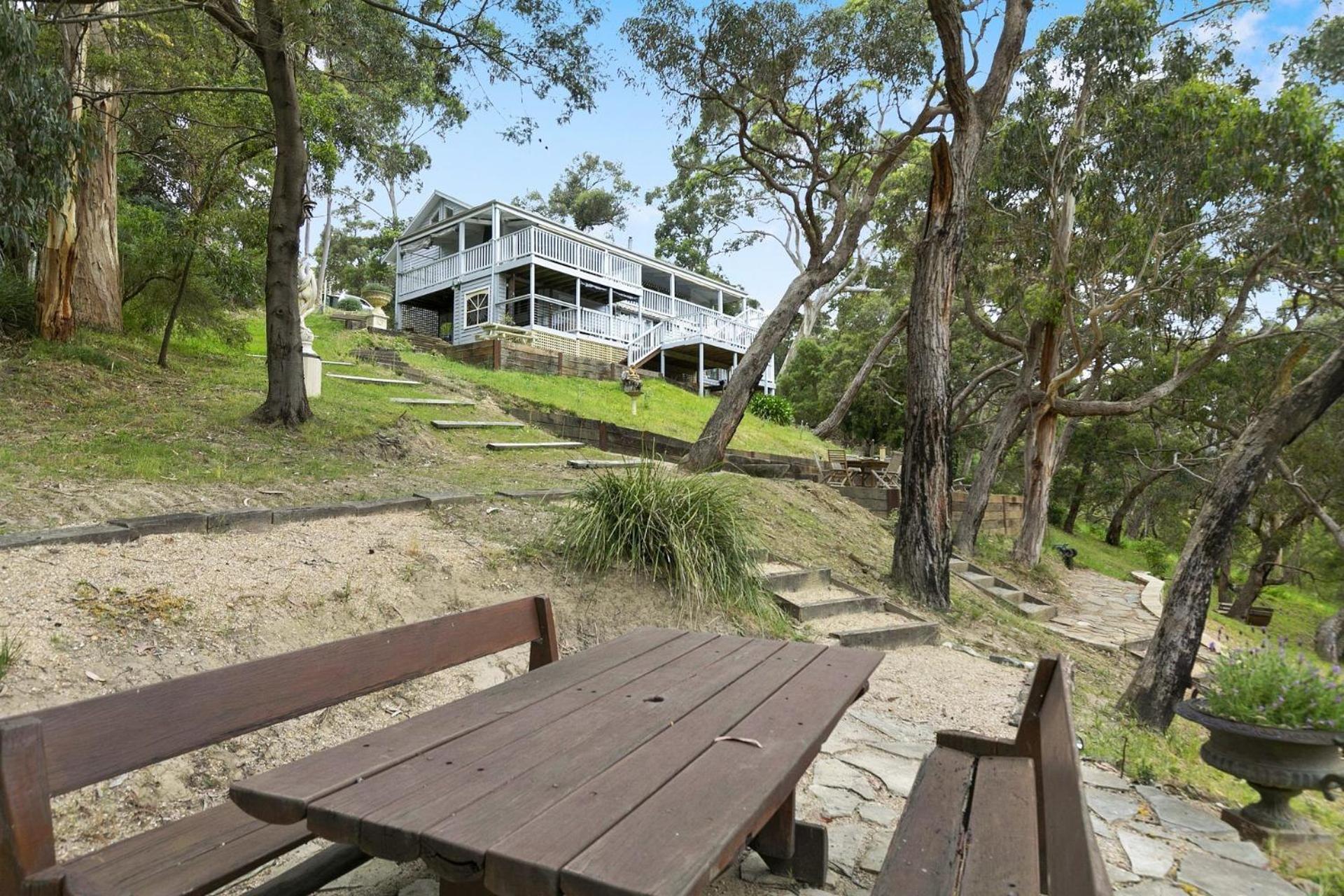 THE Treehouse