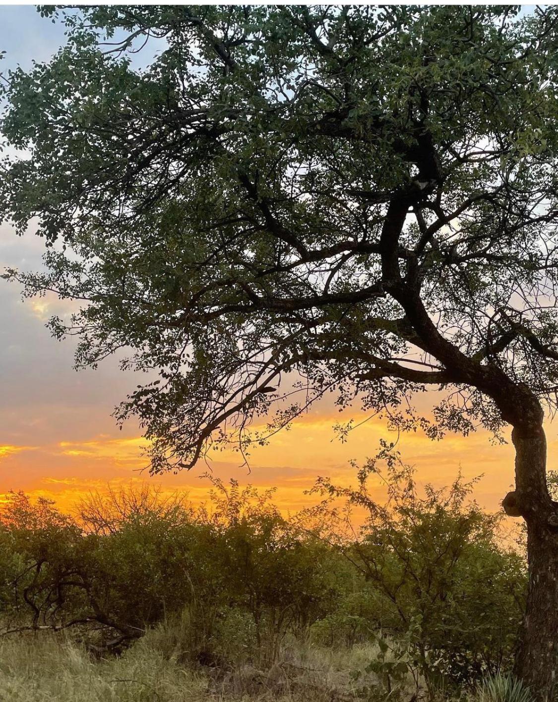 Thula Private Lodge view 3