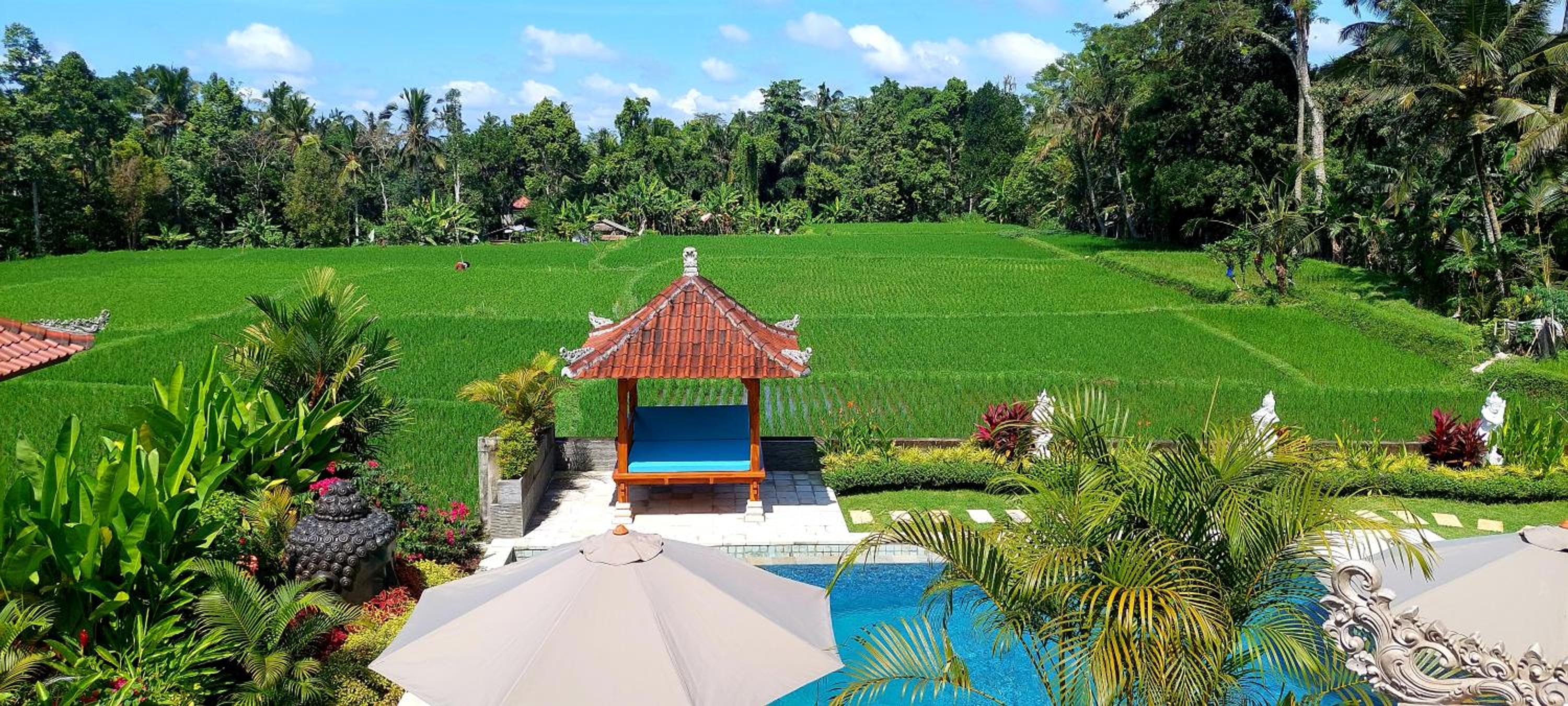 TAMAN EDEN COTTAGE view 3