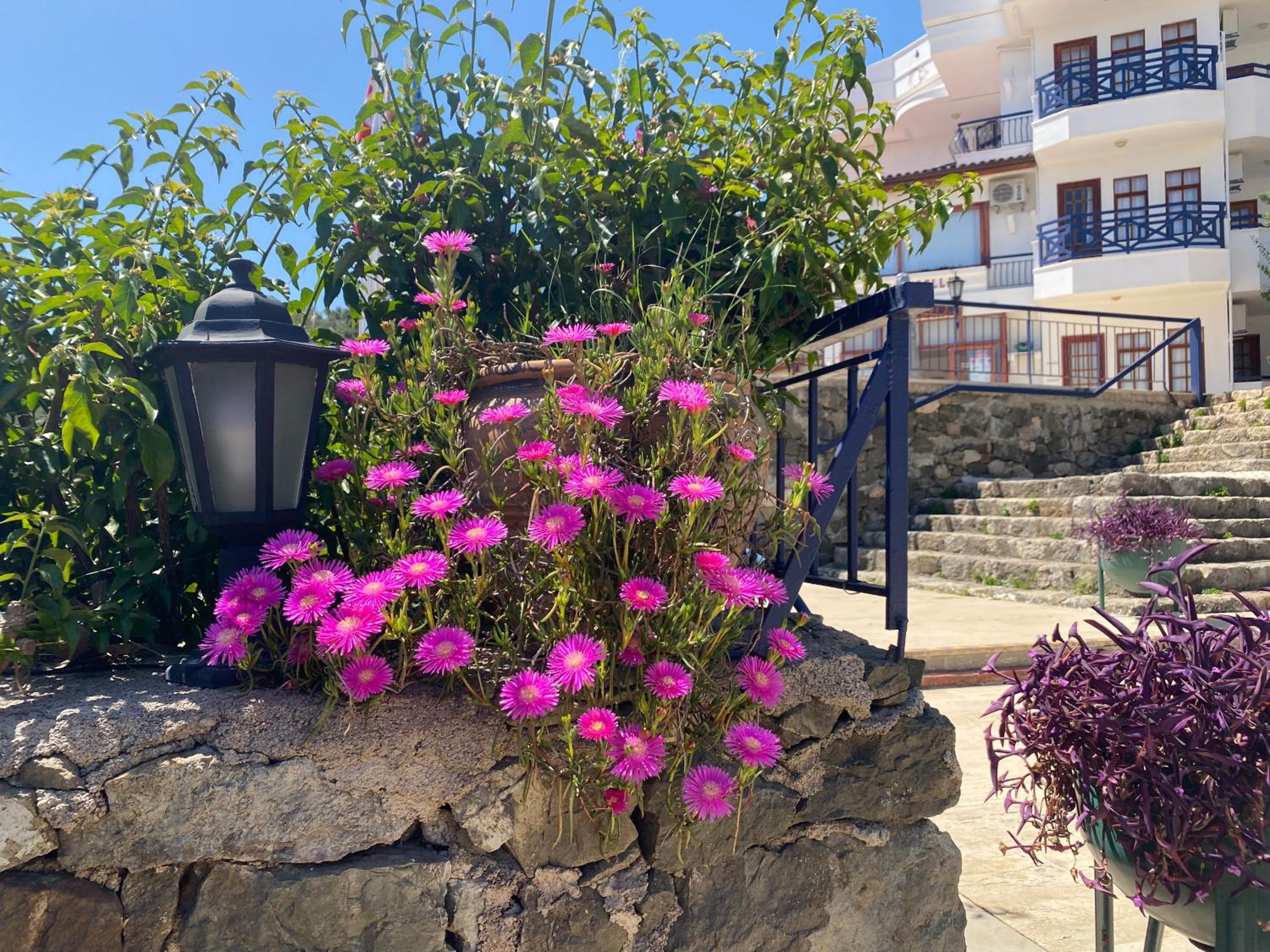 NATURELLA APART HOTEL - Image 176