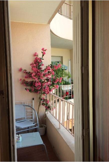 Studios à Golfe juan view 4