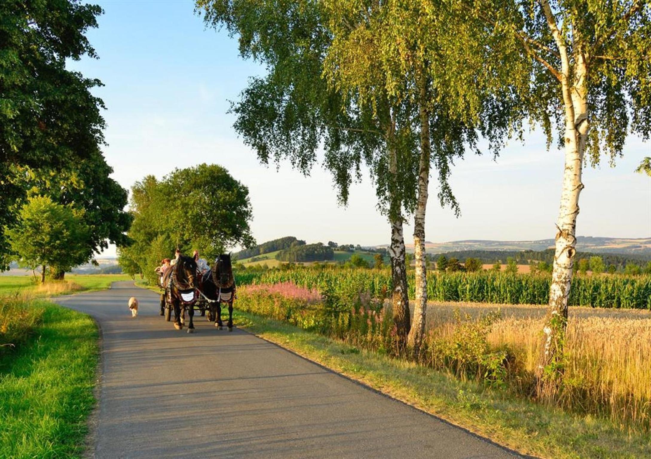 Ferienhof Kürschner view 5