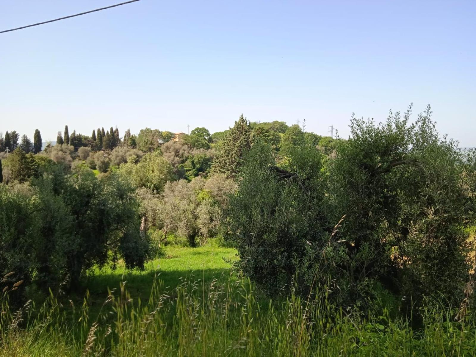 I TRE POETI view 5