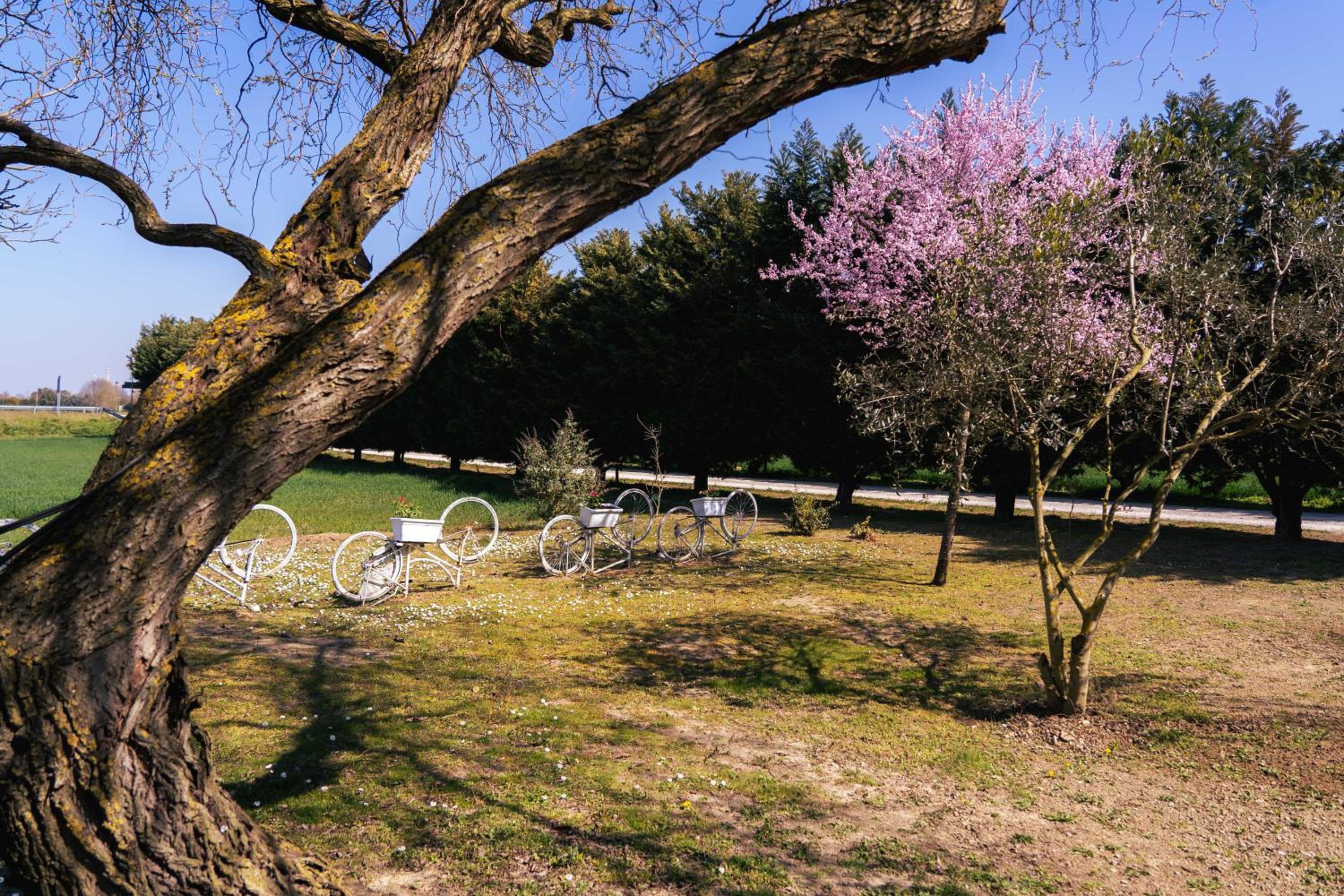 Il Giardino Di Rebecca