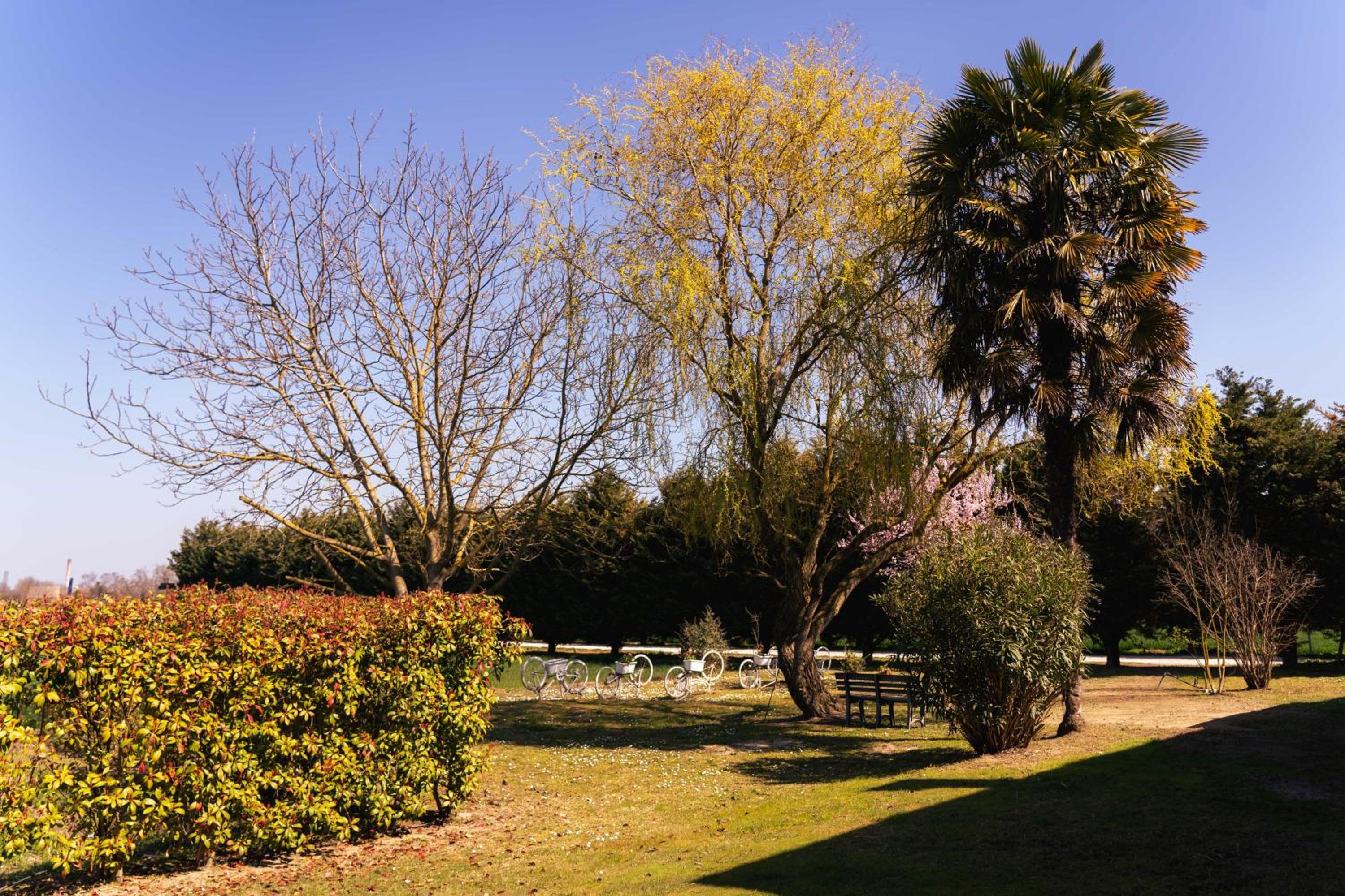 Il Giardino Di Rebecca