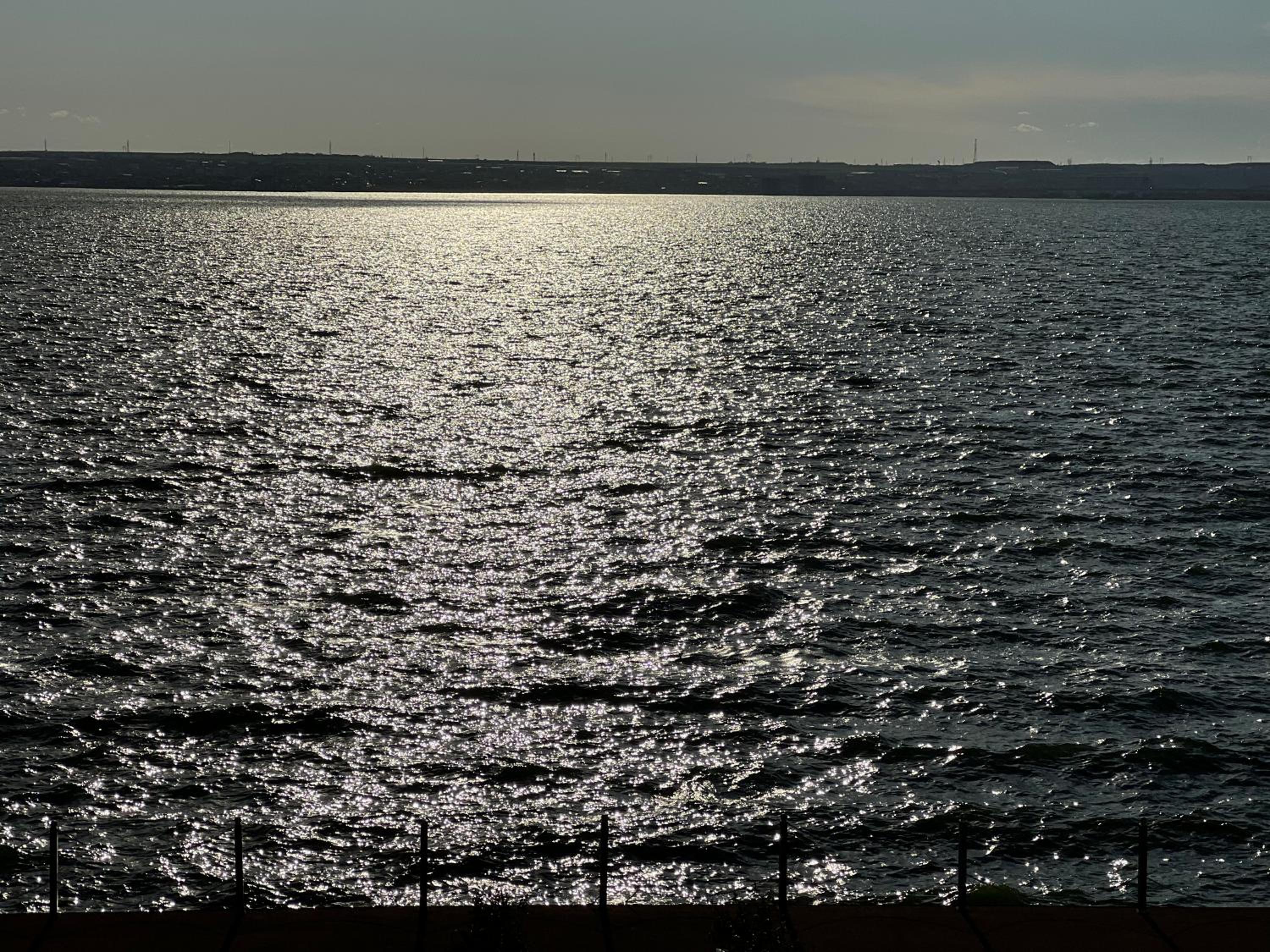 Photo 44