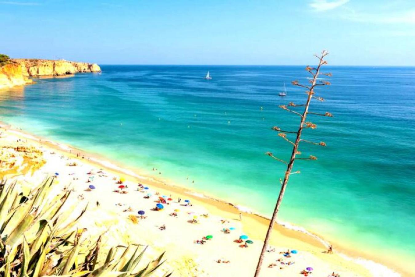 WOW Front Beach View, 150 m to Beach, WIFI view 2