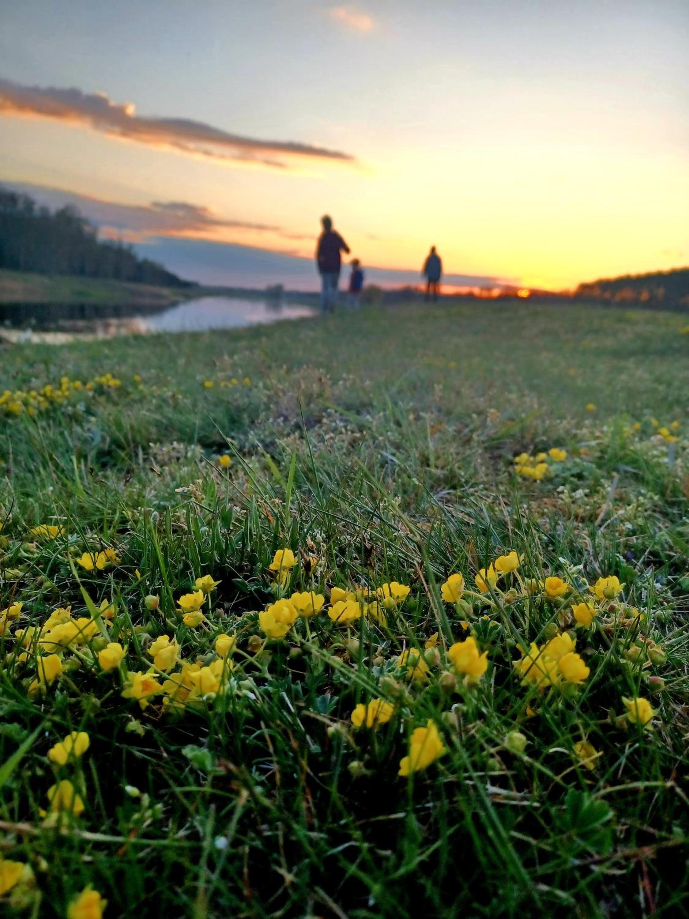 Photo 44