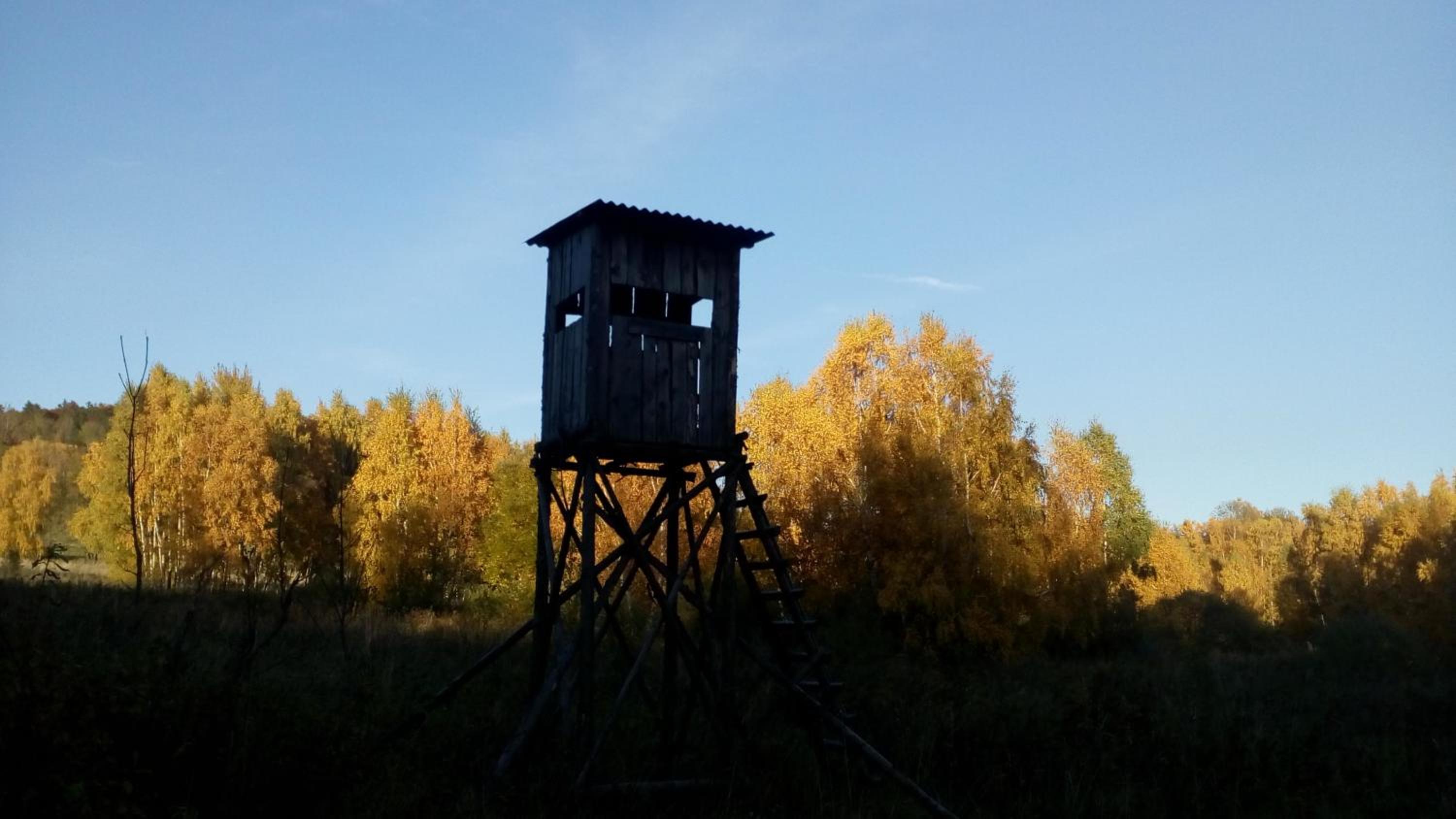 Apartmán PECKA - Nová Pec