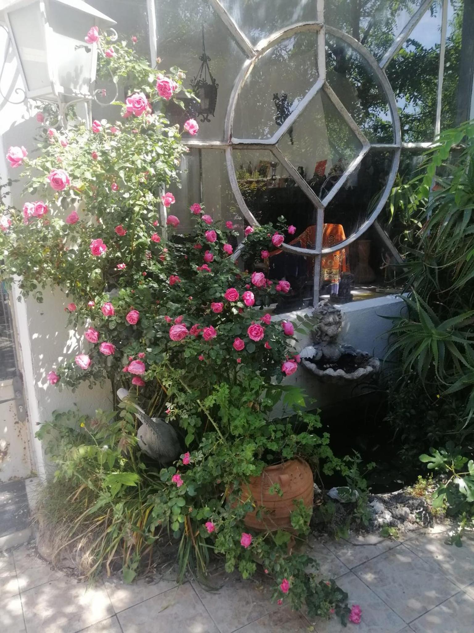 Photo 49