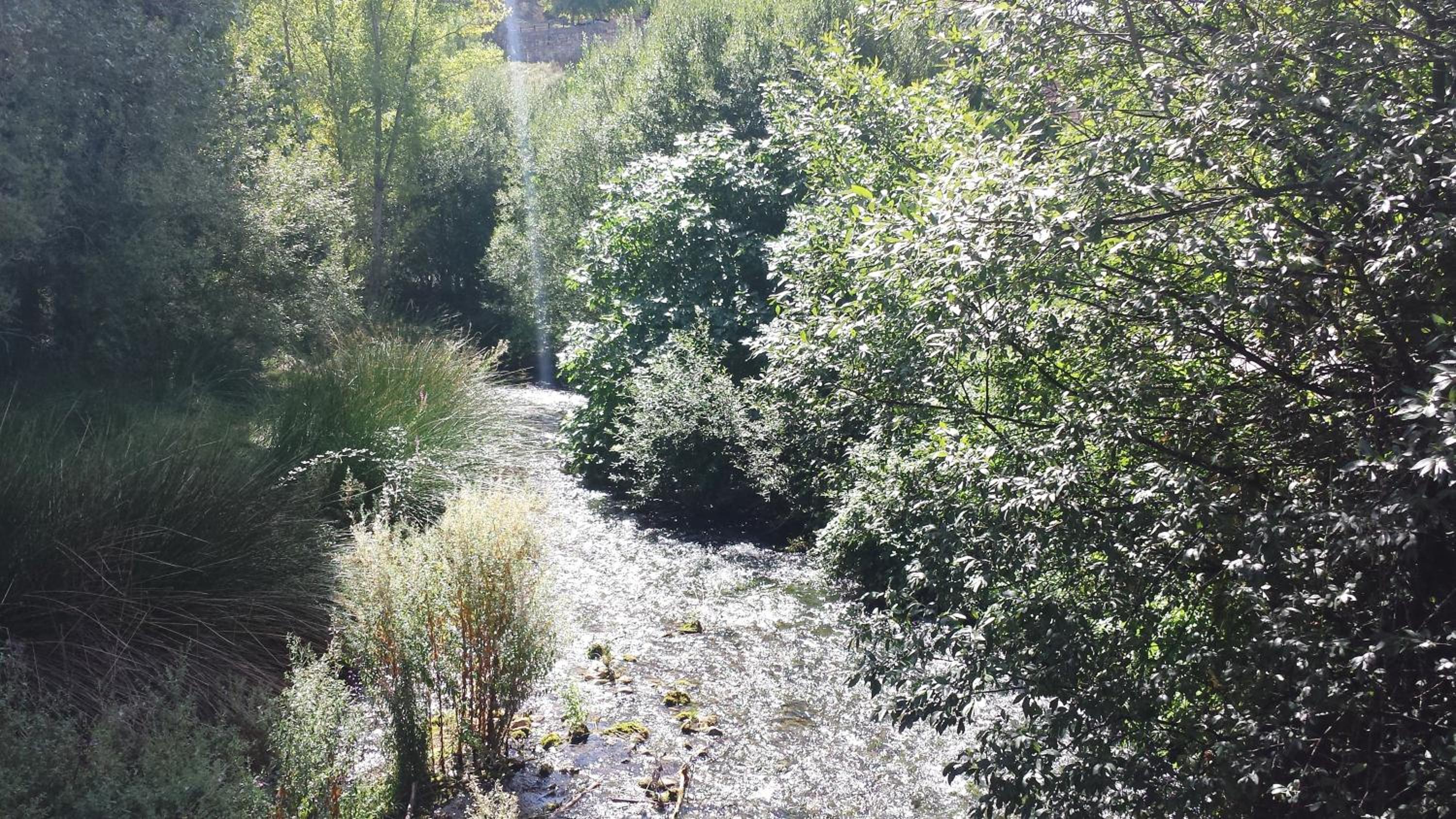 Photo 28