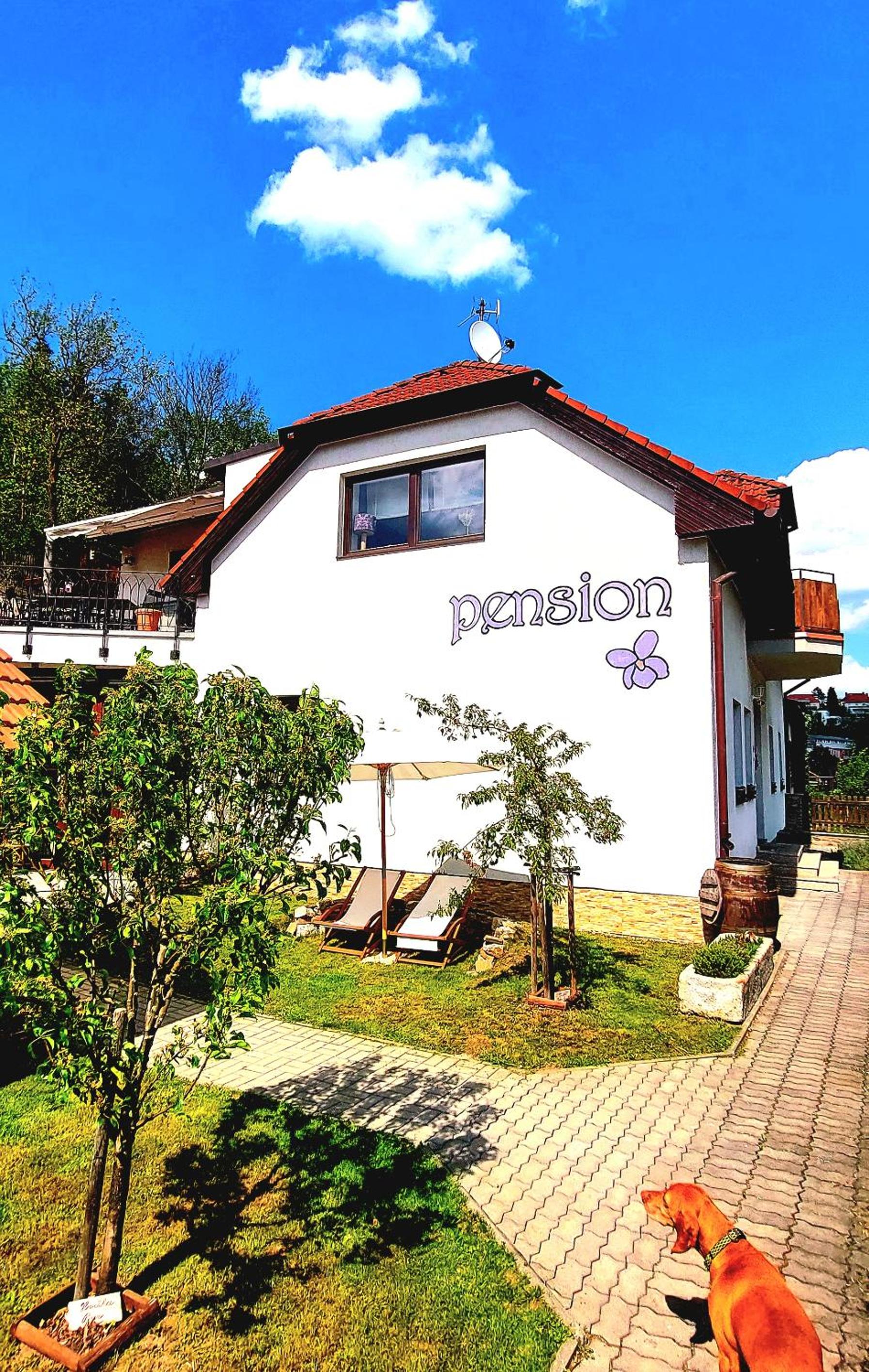 Pension Fialka