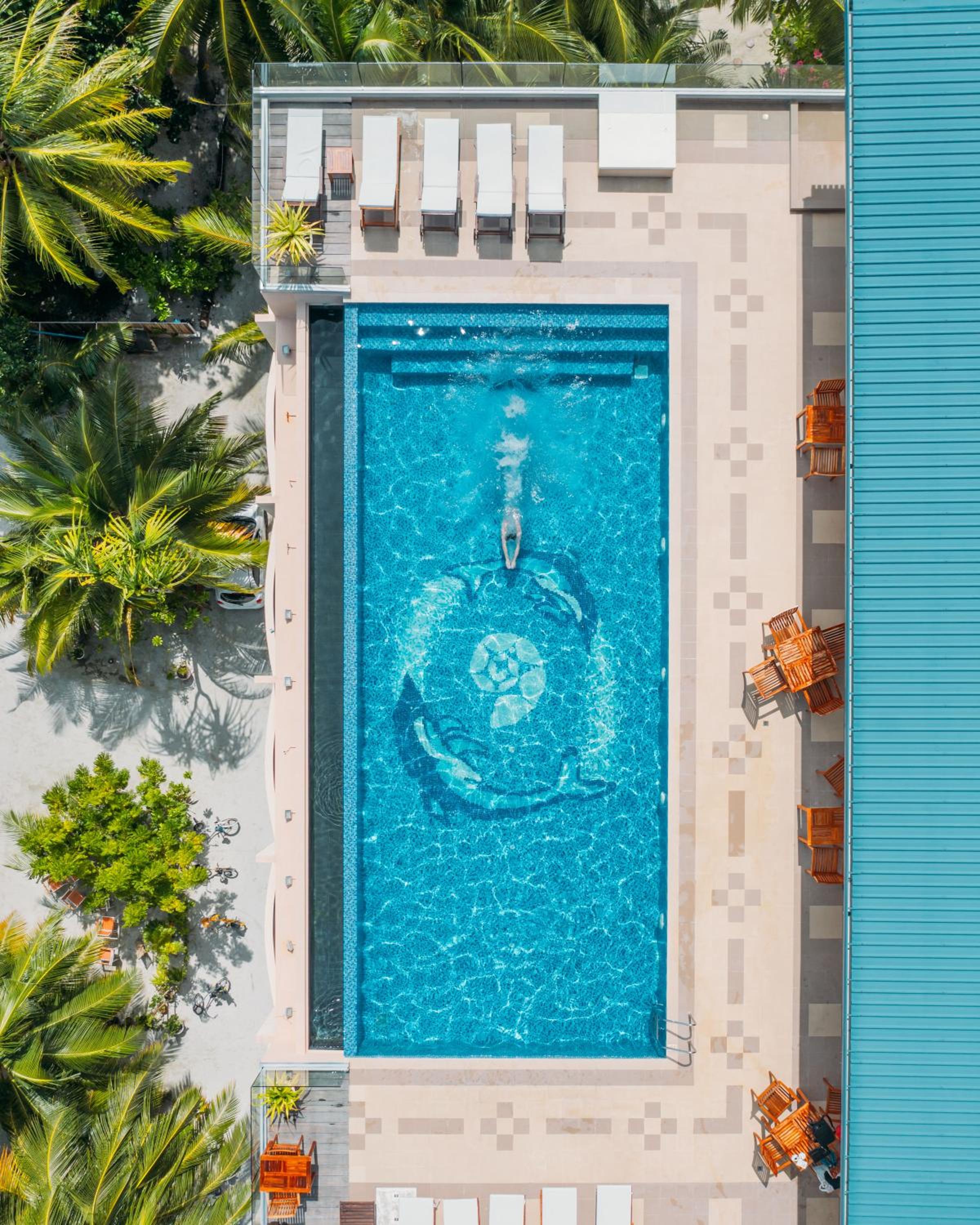 Season Paradise