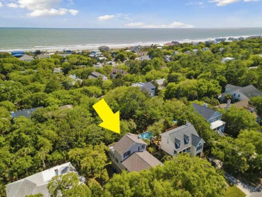 307 W Indian - The Prickly Pear view 4