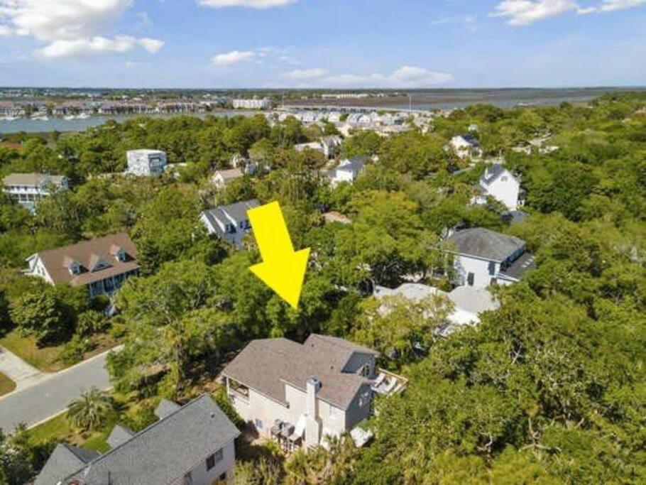 307 W Indian - The Prickly Pear view 2