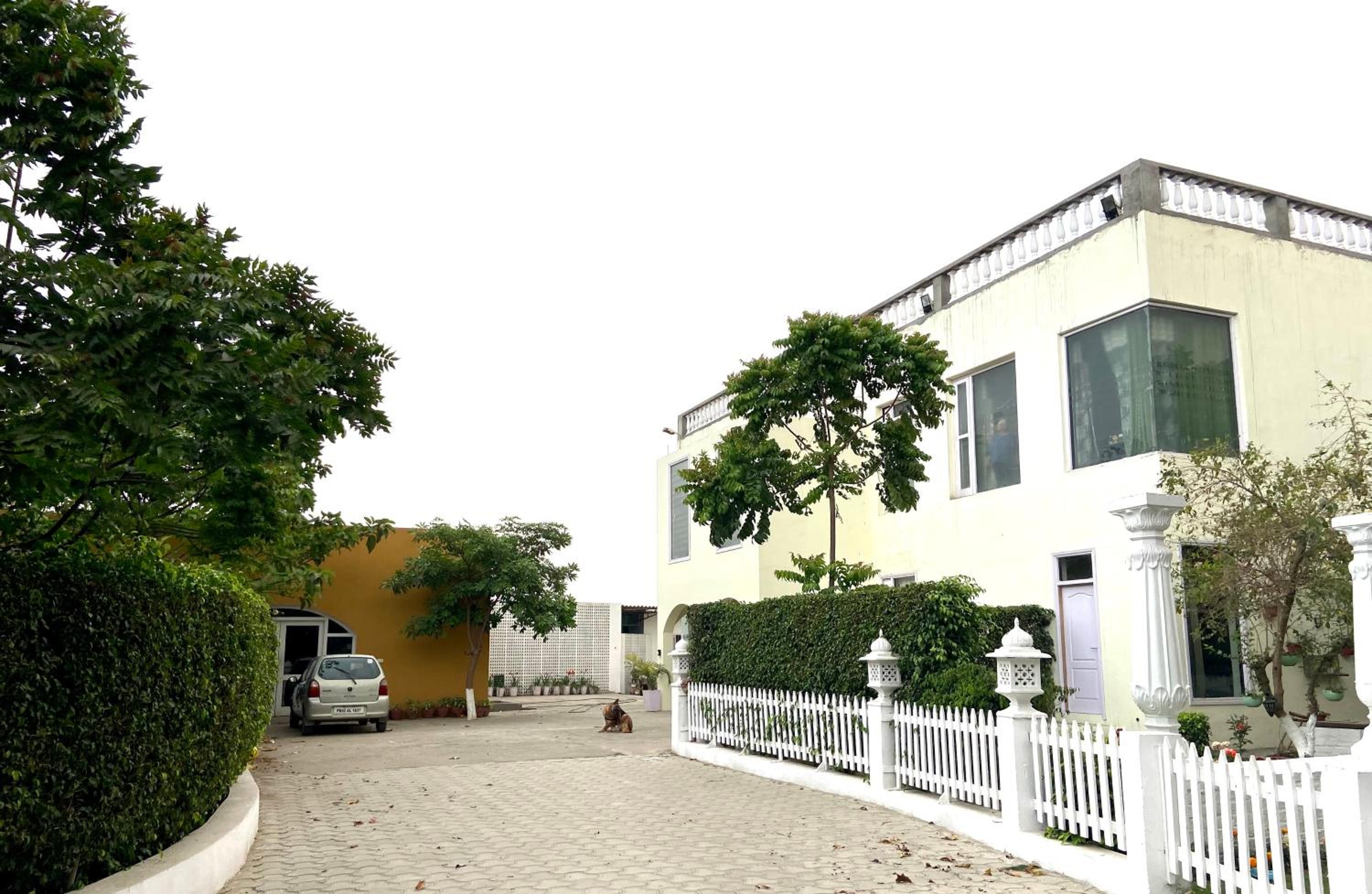 Photo 43