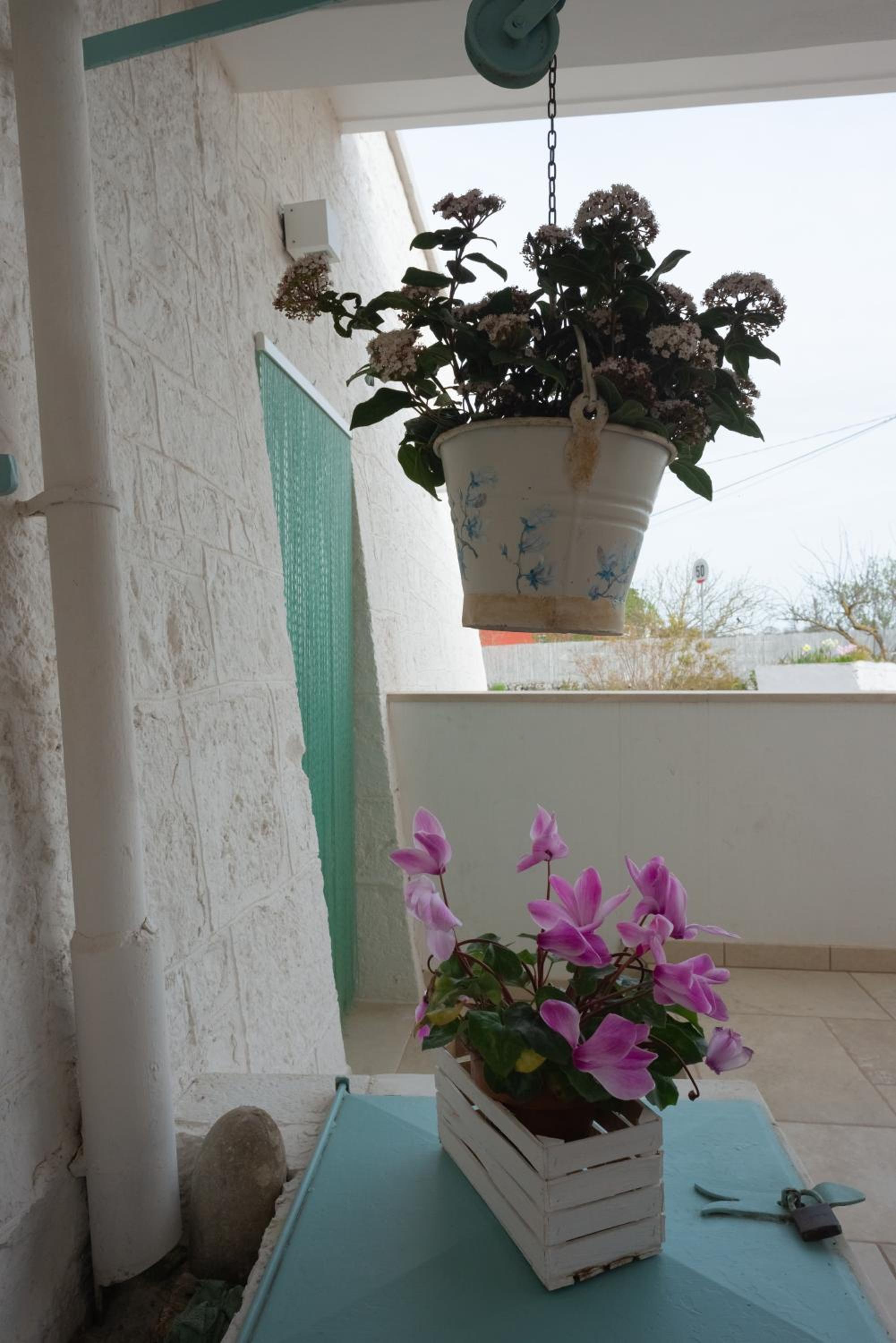I Trulli di Mina - Trullo Girasole view 5