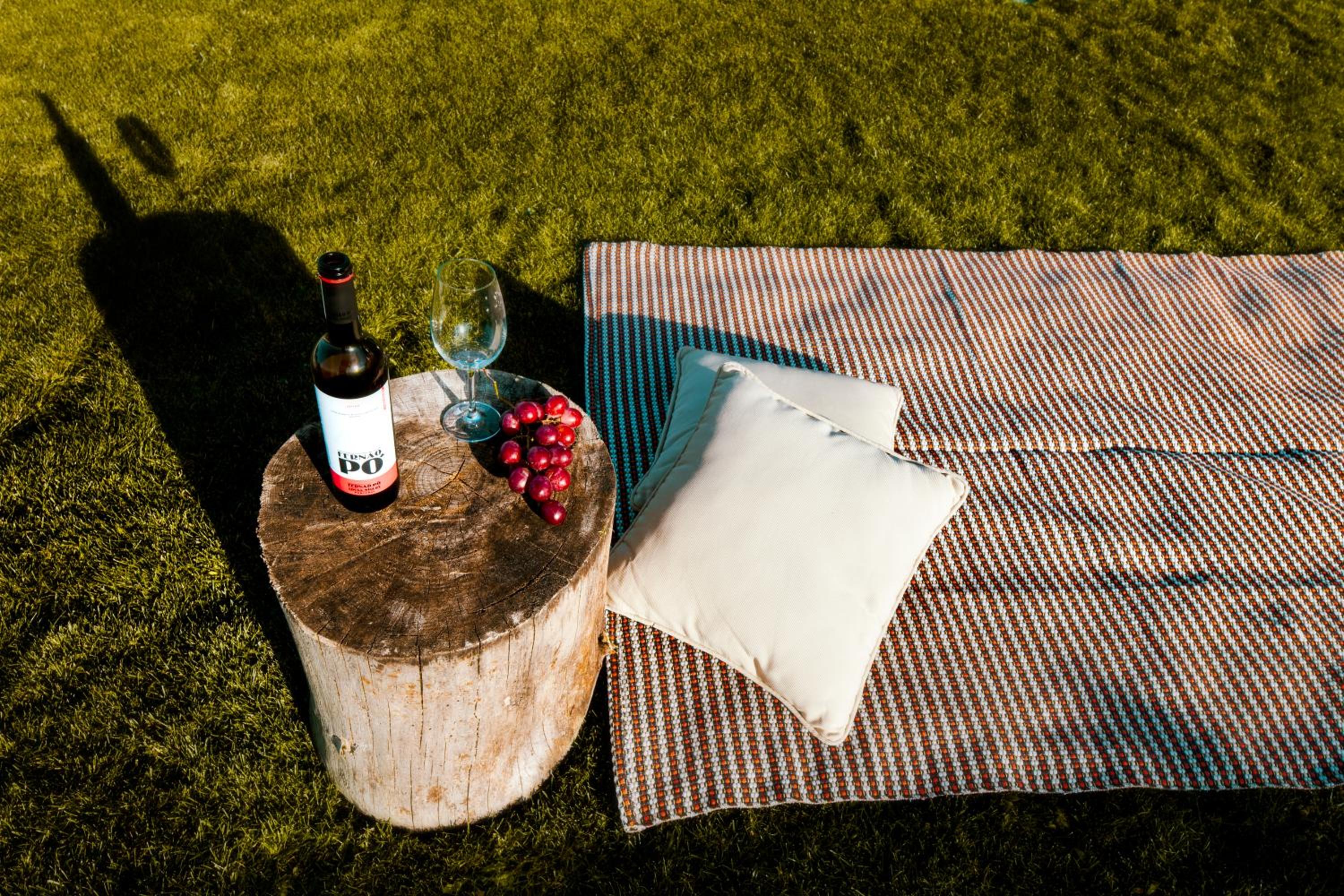 Delmira Vineyard House view 5