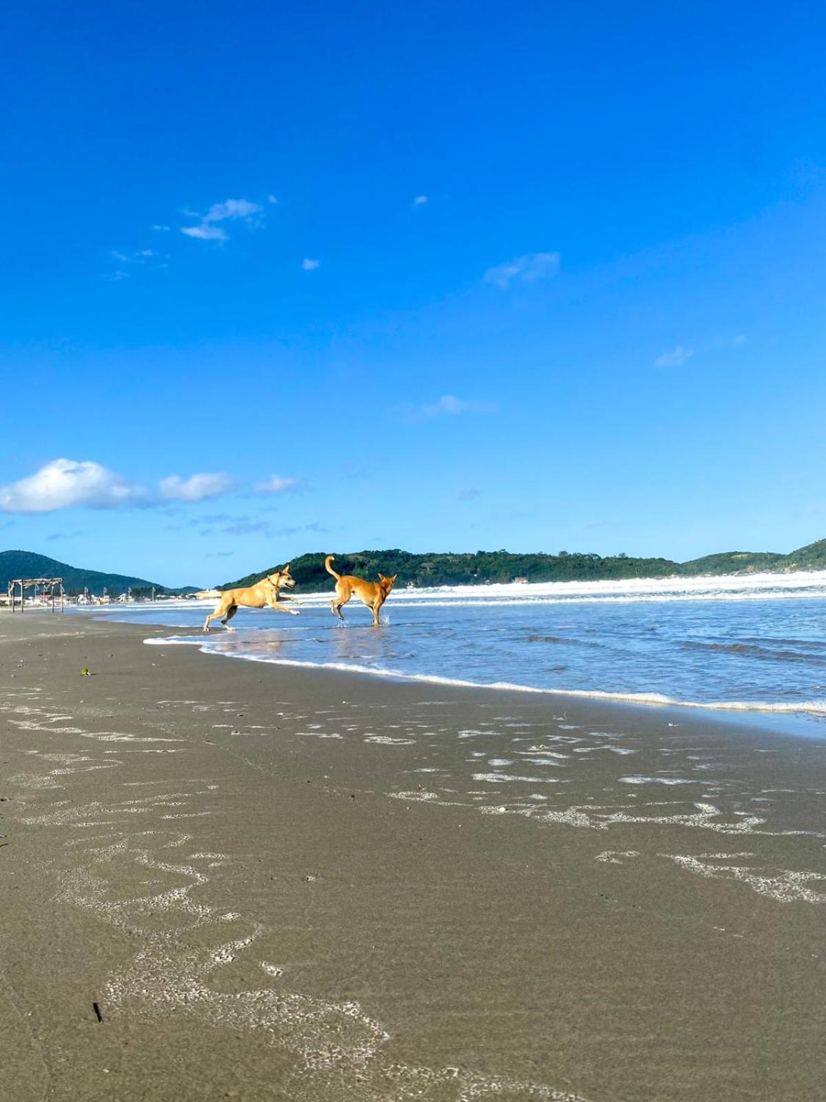 CASA COMPLETA para alugar na Praia da Pinheira.