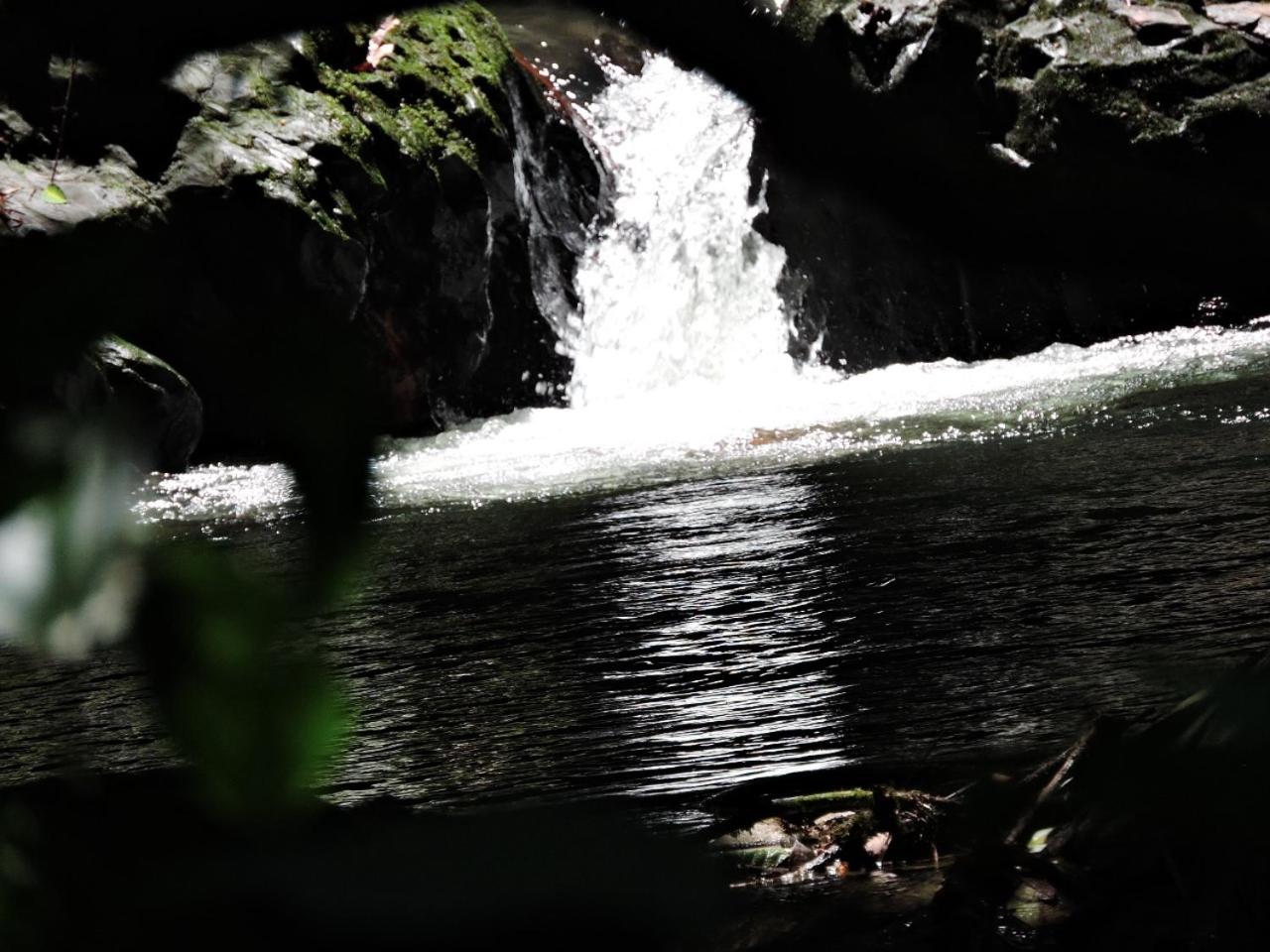 Eco-Cabanas Altozano Nimaima - Property Image 50