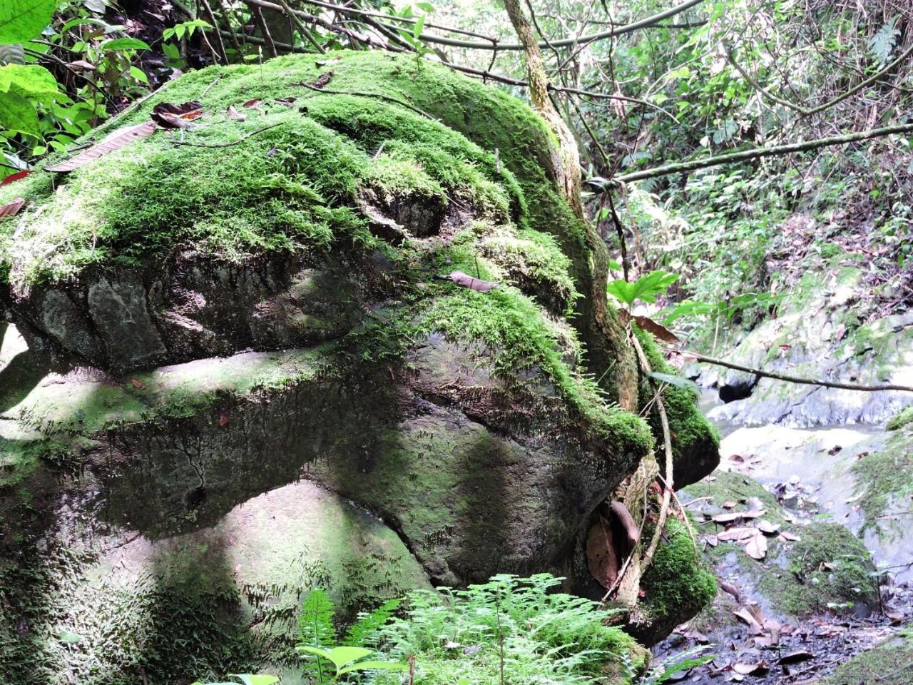 Eco-Cabanas Altozano Nimaima - Property Image 118