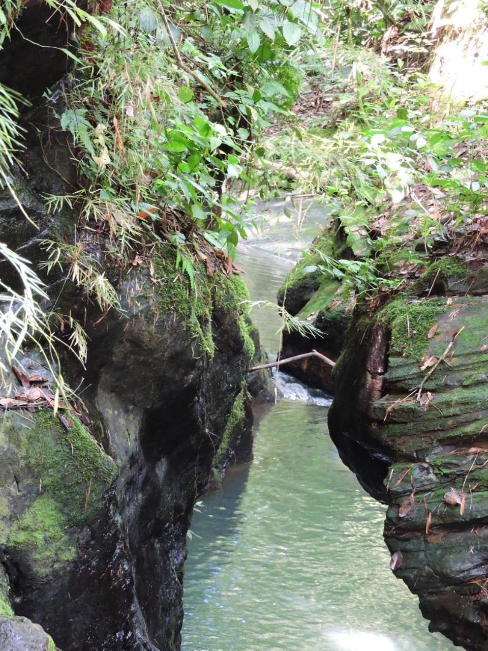 Eco-Cabanas Altozano Nimaima - Property Image 119