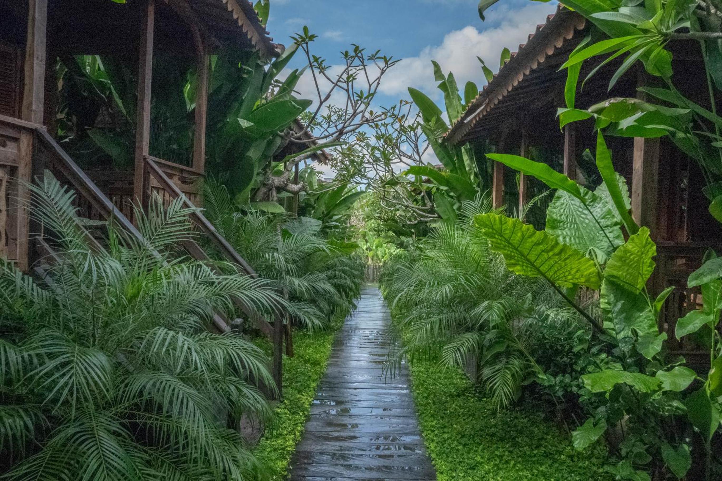 Bajalo Cottage Canggu - Adults only view 5