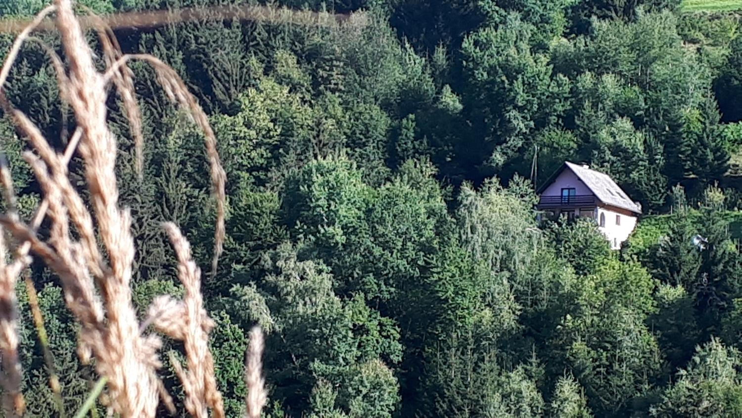 Country House & Spa view 4