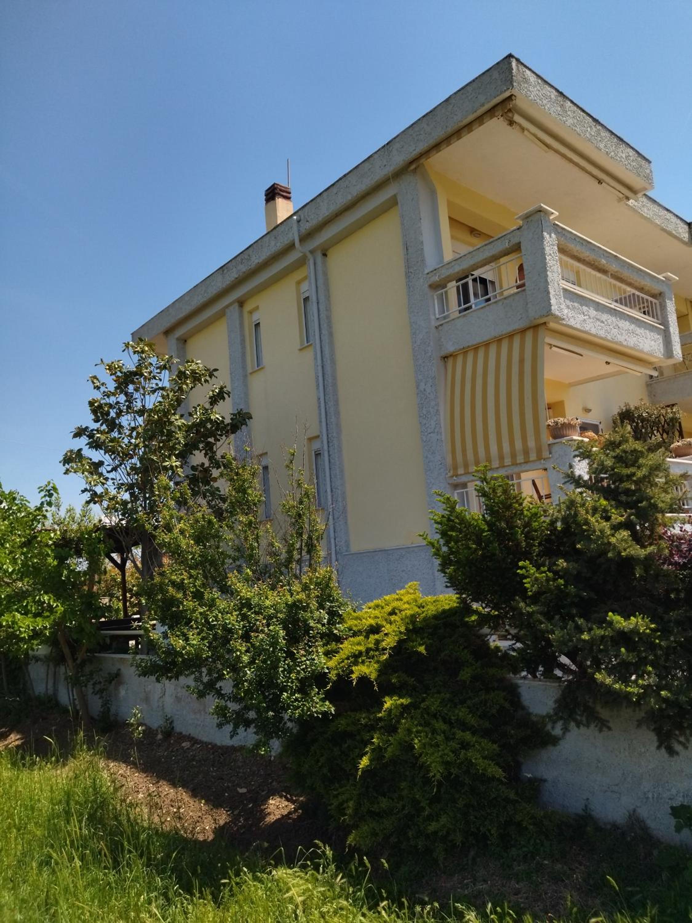 Photo 8