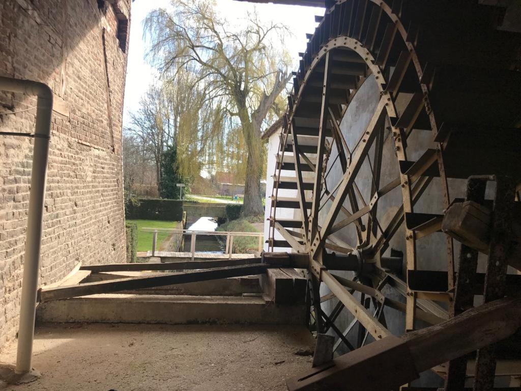 Vakantiewoning Wurfeldermolen