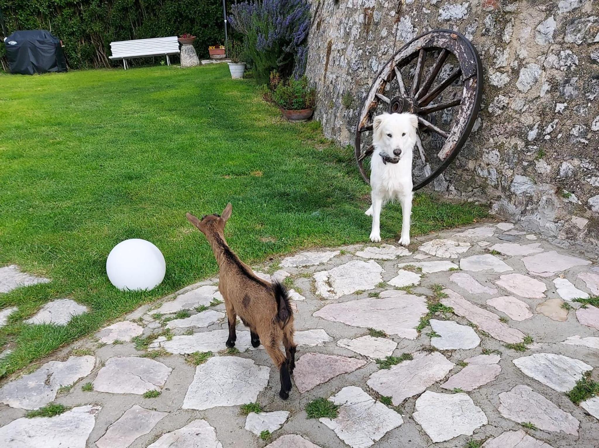 Agriturismo campagna in compagnia