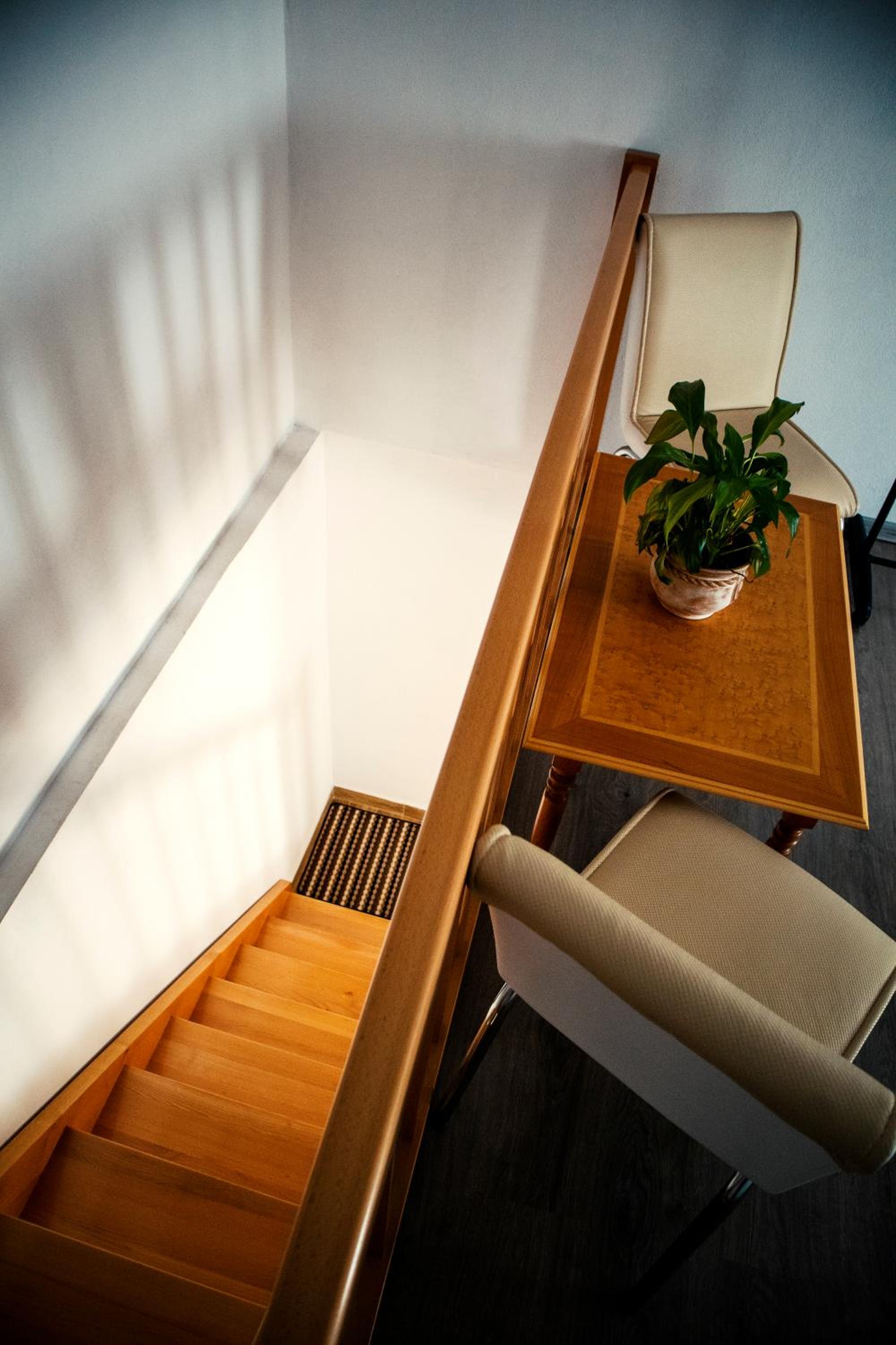 Elekes Apartmans view 3