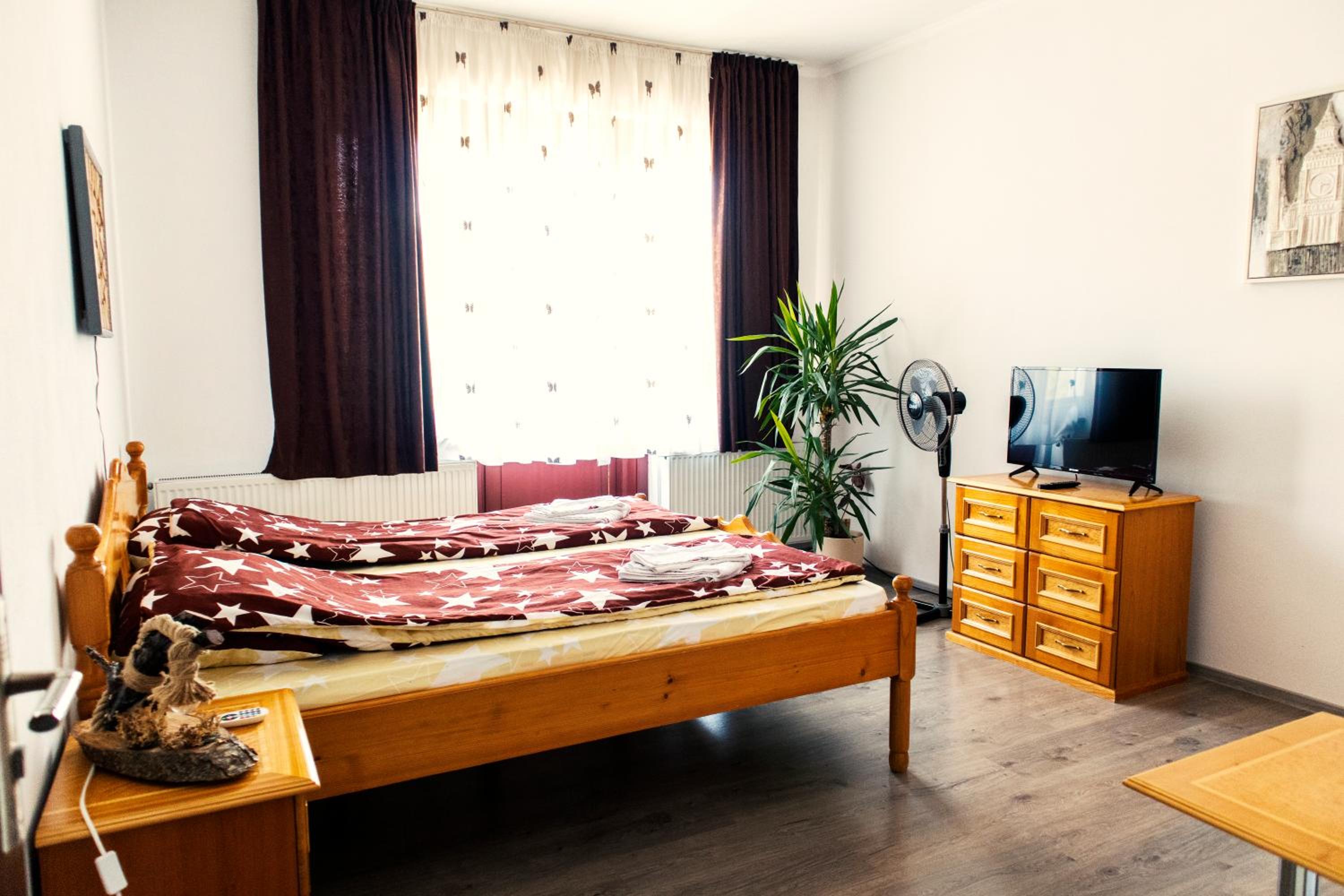 Elekes Apartmans view 2