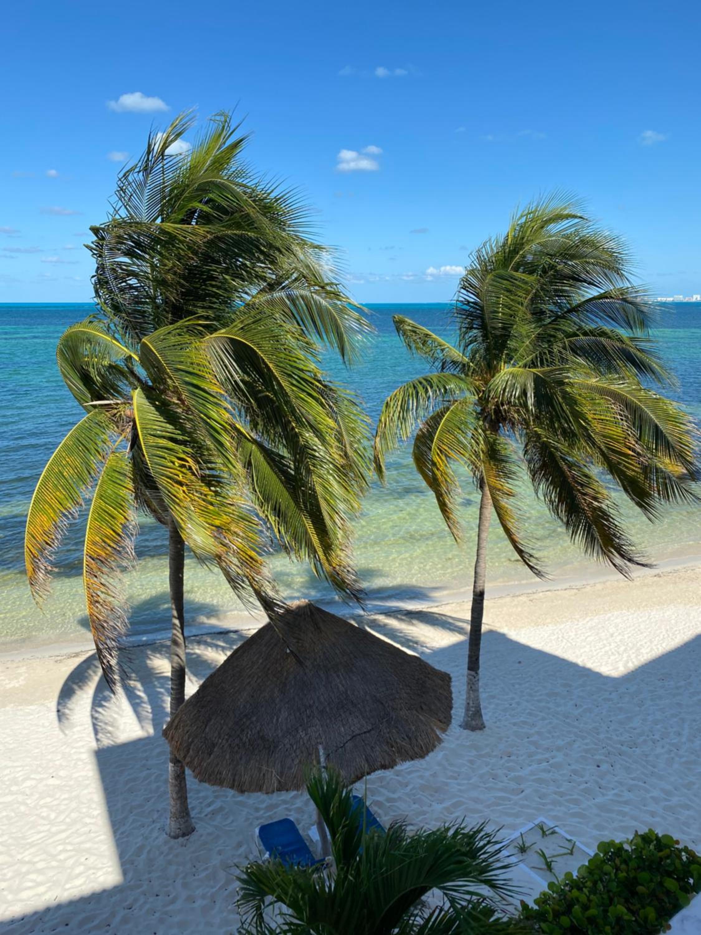 Tropical apartment