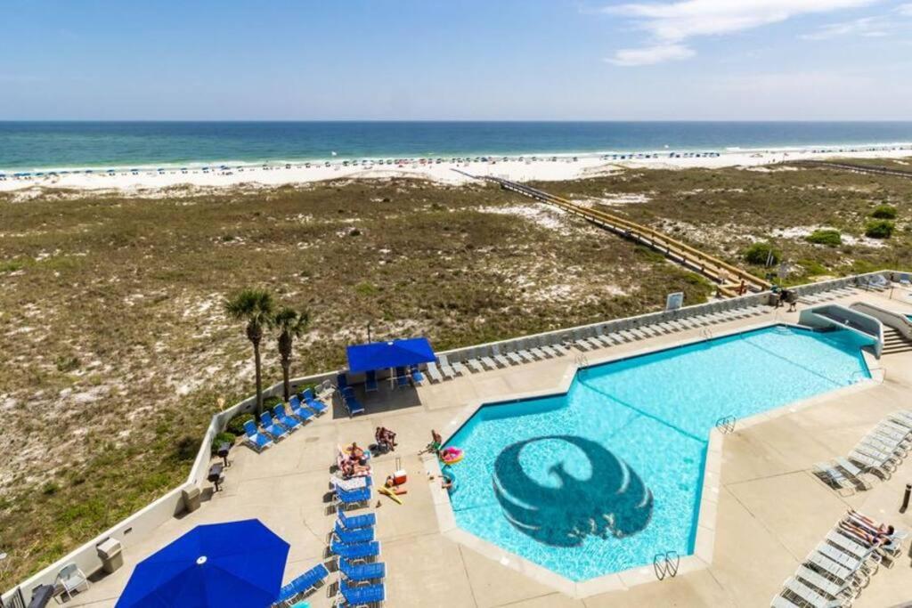 Phoenix VI 6511- Beachfront Amenities Sleeps 10 Gorgeous Views BeachLife view 5