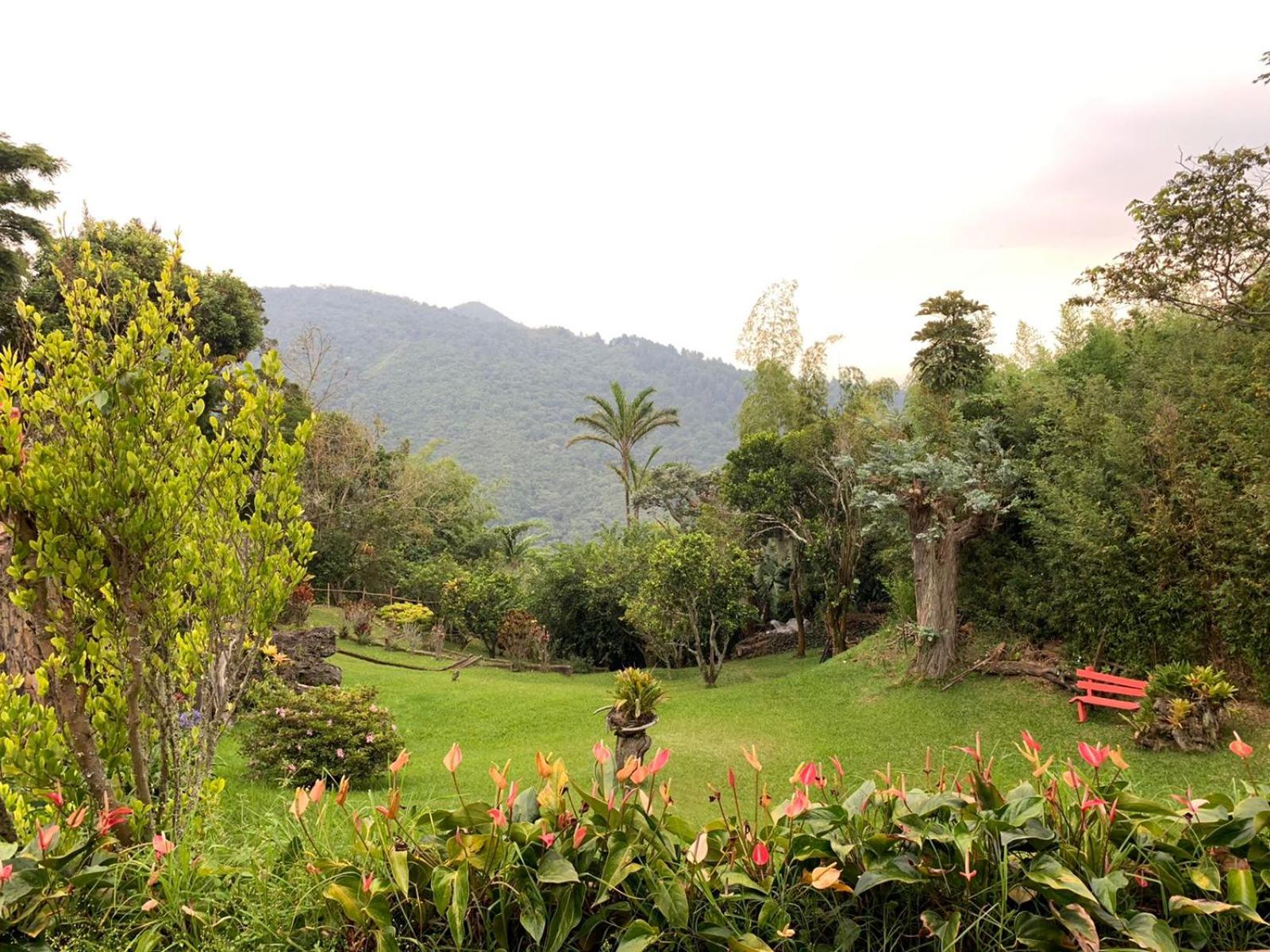 Increíble finca en felidia