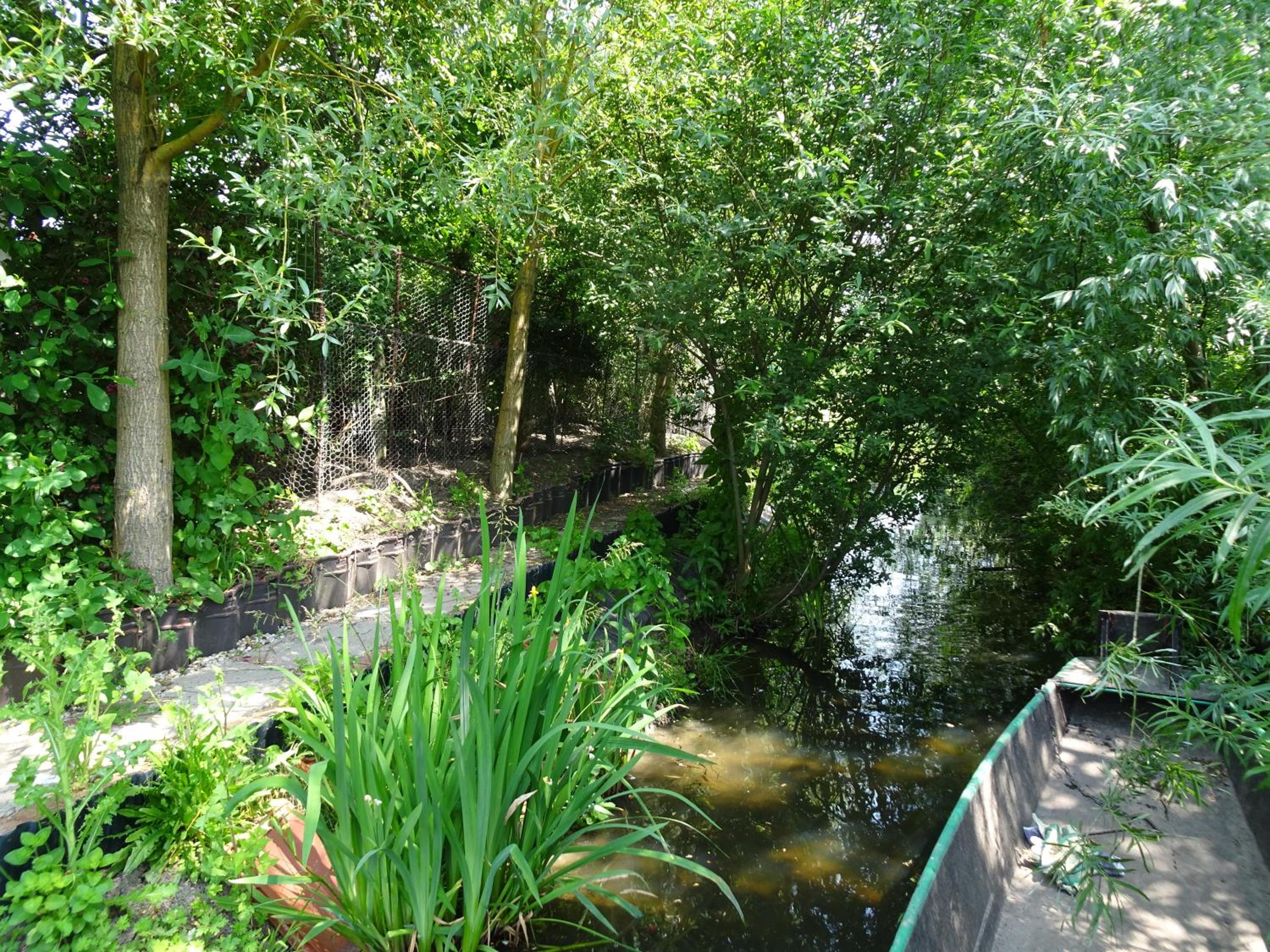 De Kopstoof, photo 52