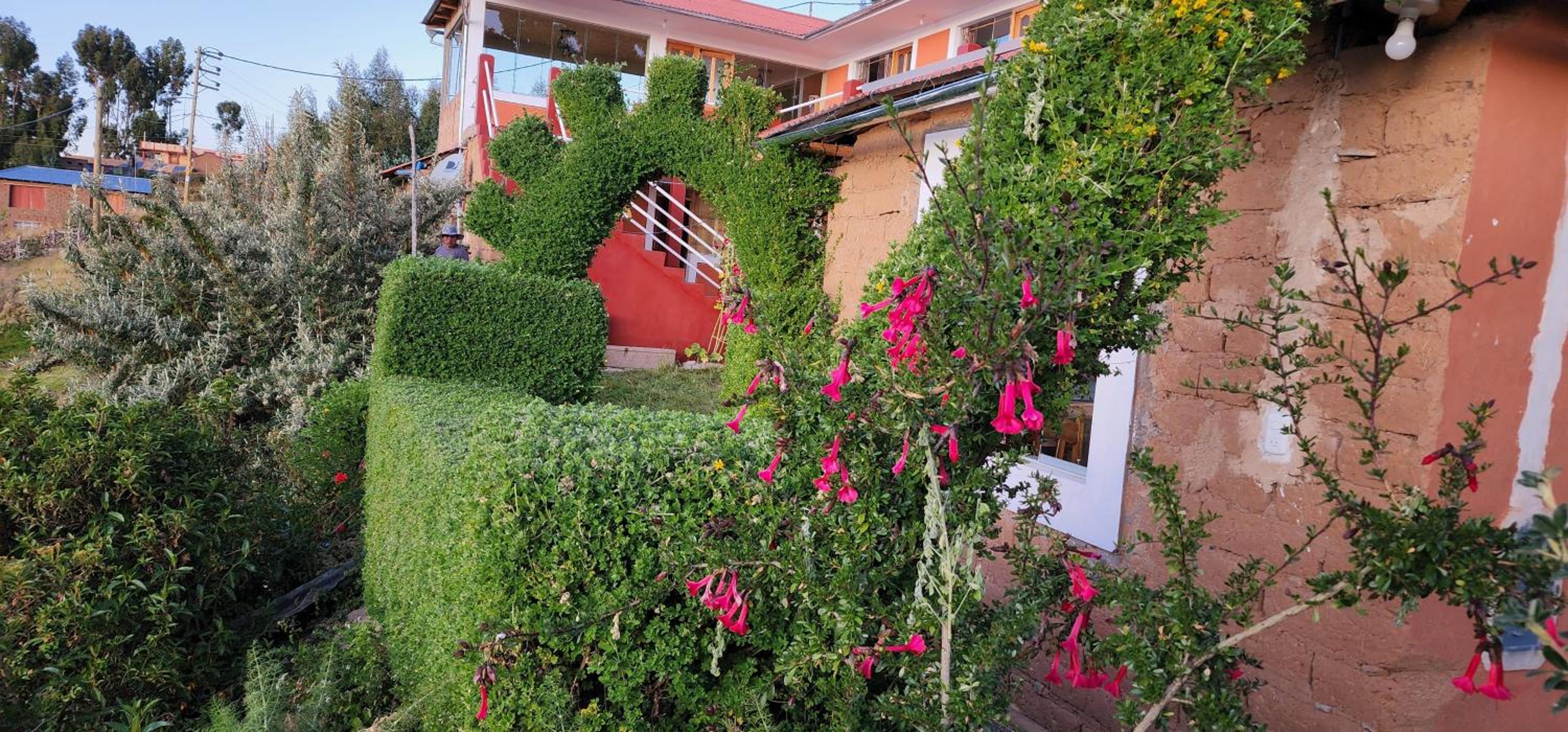 Photo 6