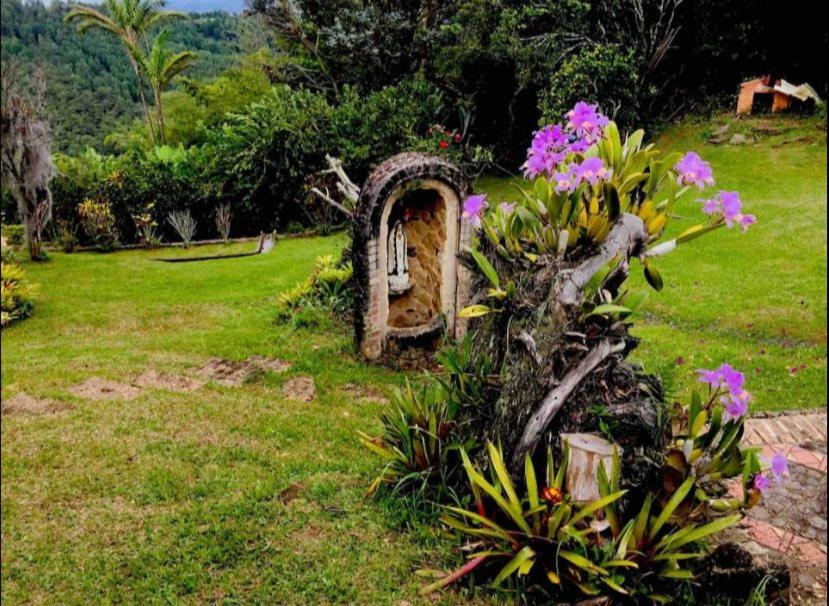 Increíble finca en felidia