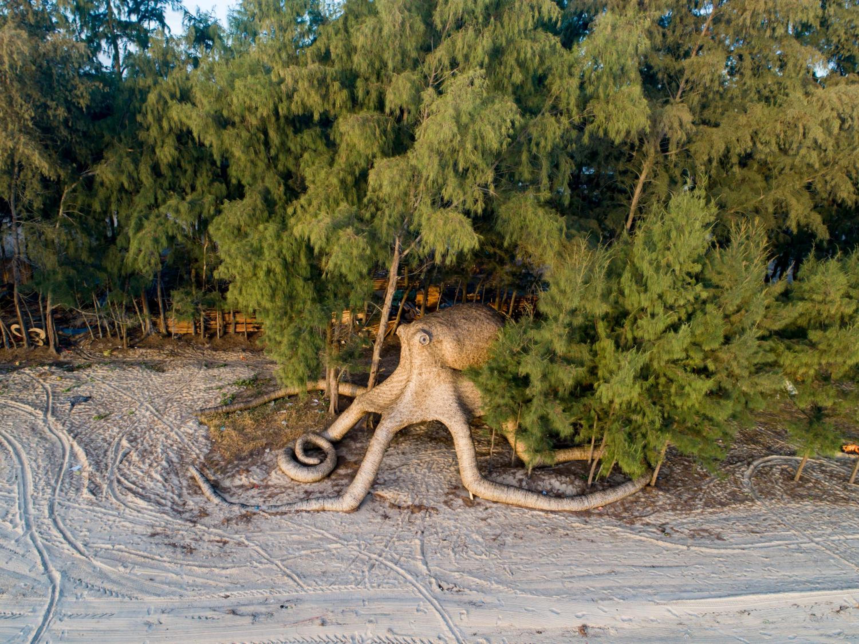 Photo 20