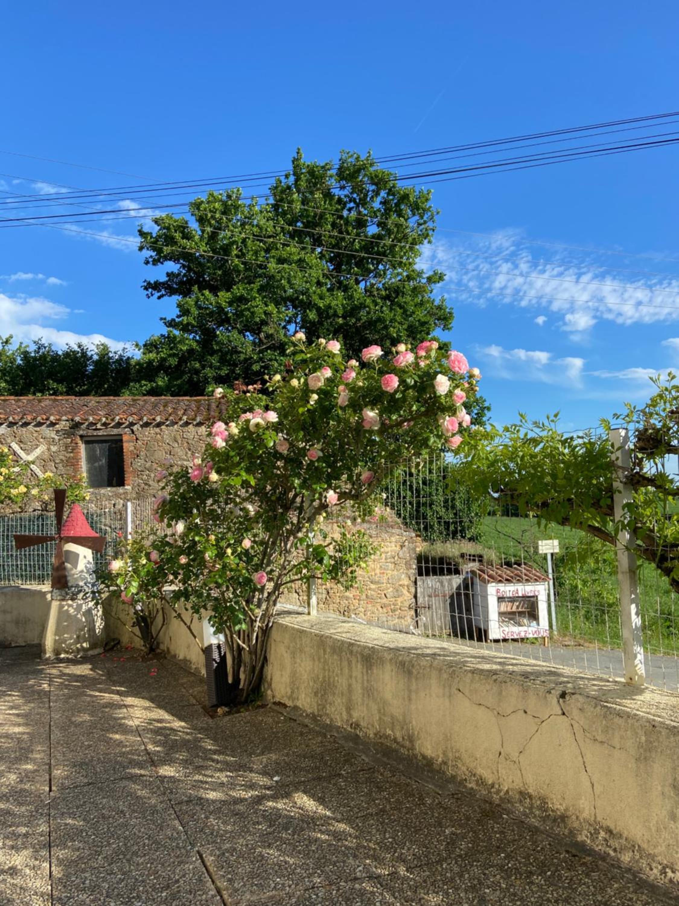 Le petit moulin view 2