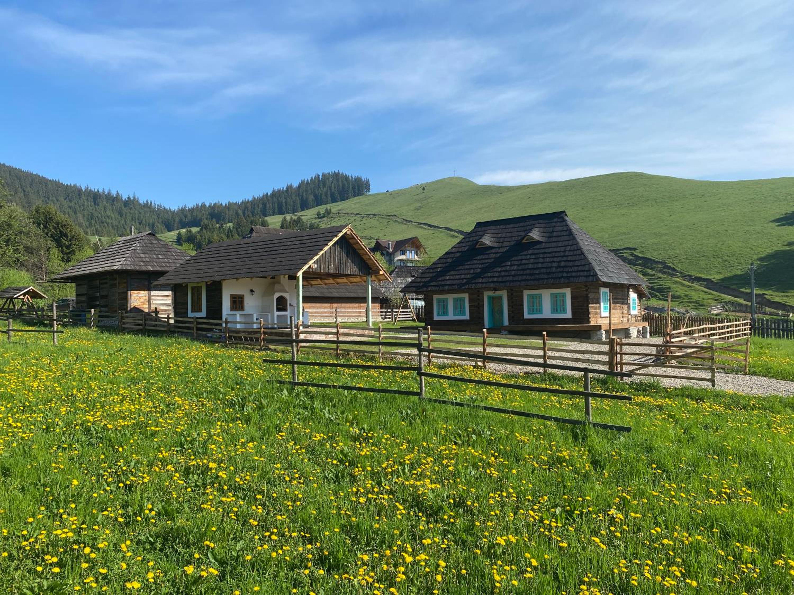 Hygge Loft Bucovina view 2