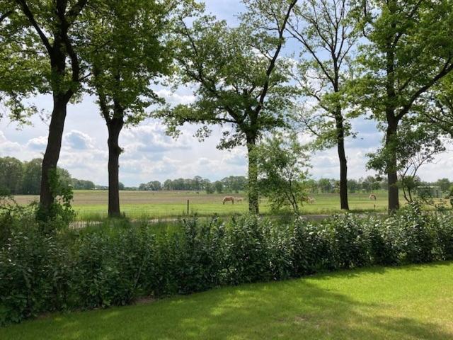 Achterhoekse vakantiewoning, infraroodsauna, geweldig uitzicht, goede bedden view 2