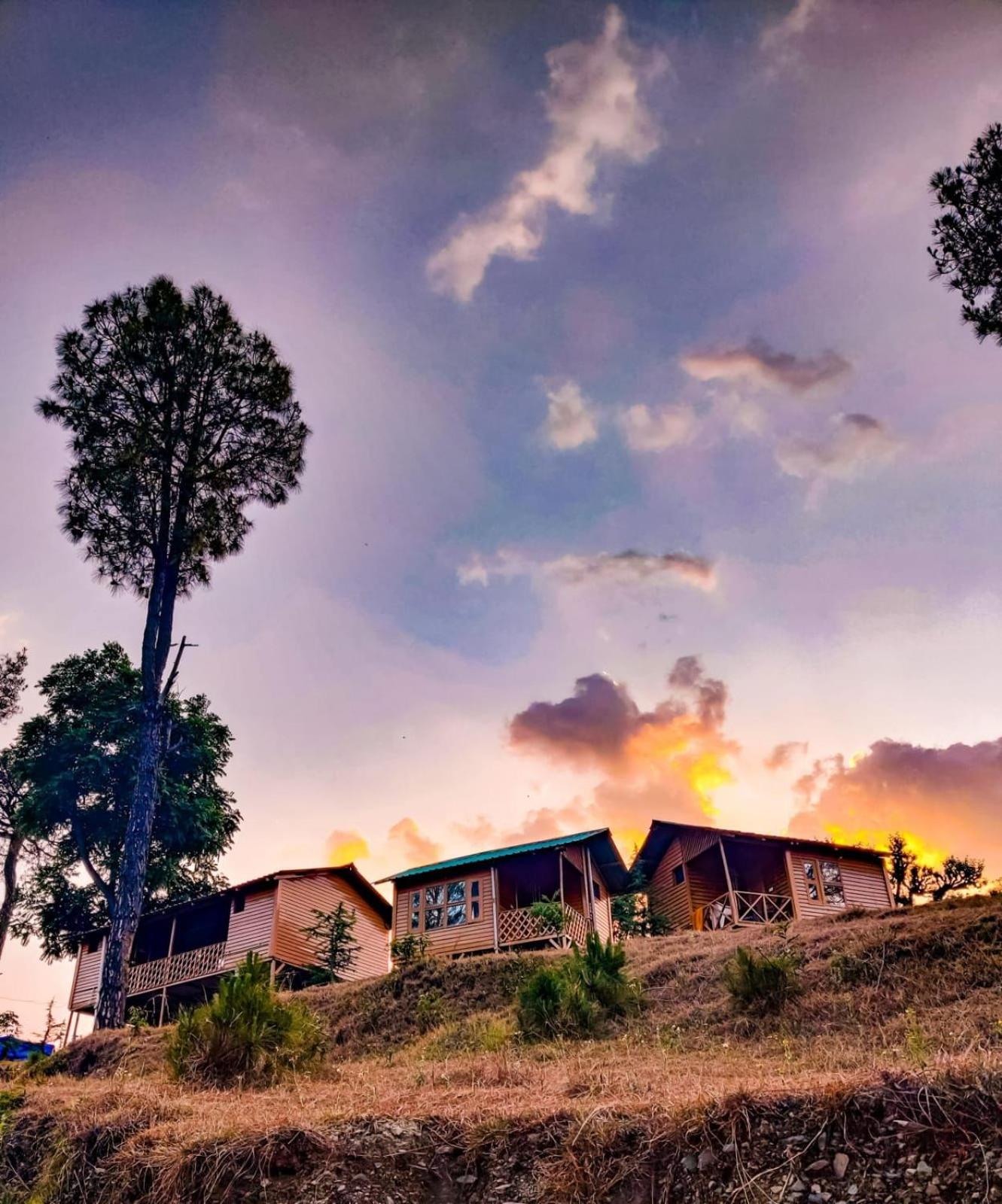 Golden valley cottages, Chail view 3